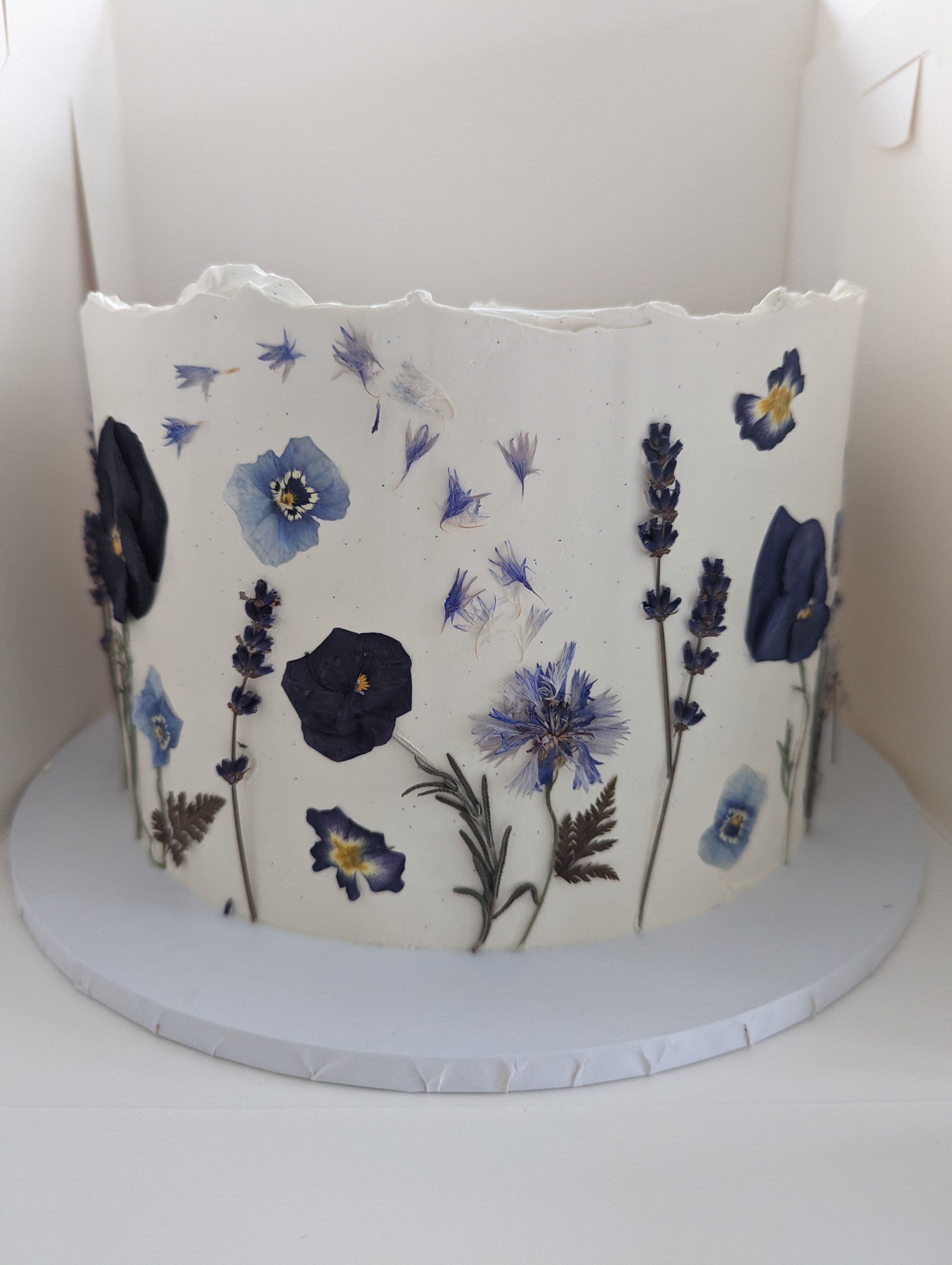 PXL_20230429_072314798.MP (1).jpg