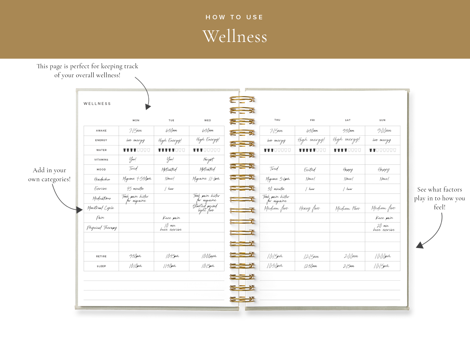 Blog Wellness.png