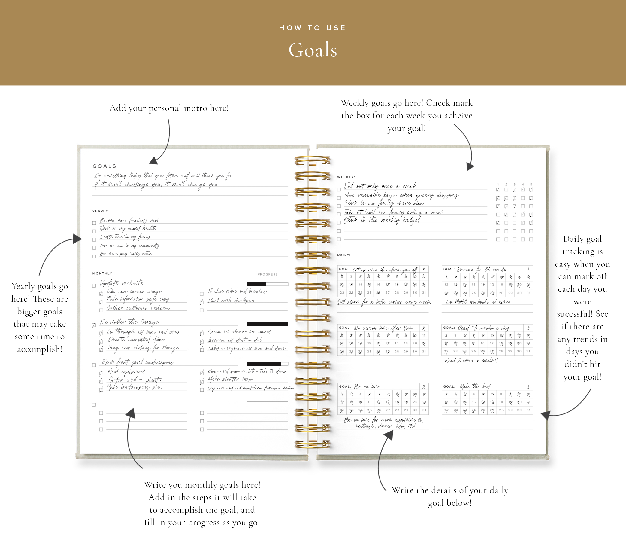 Blog How to Use - Goals.png