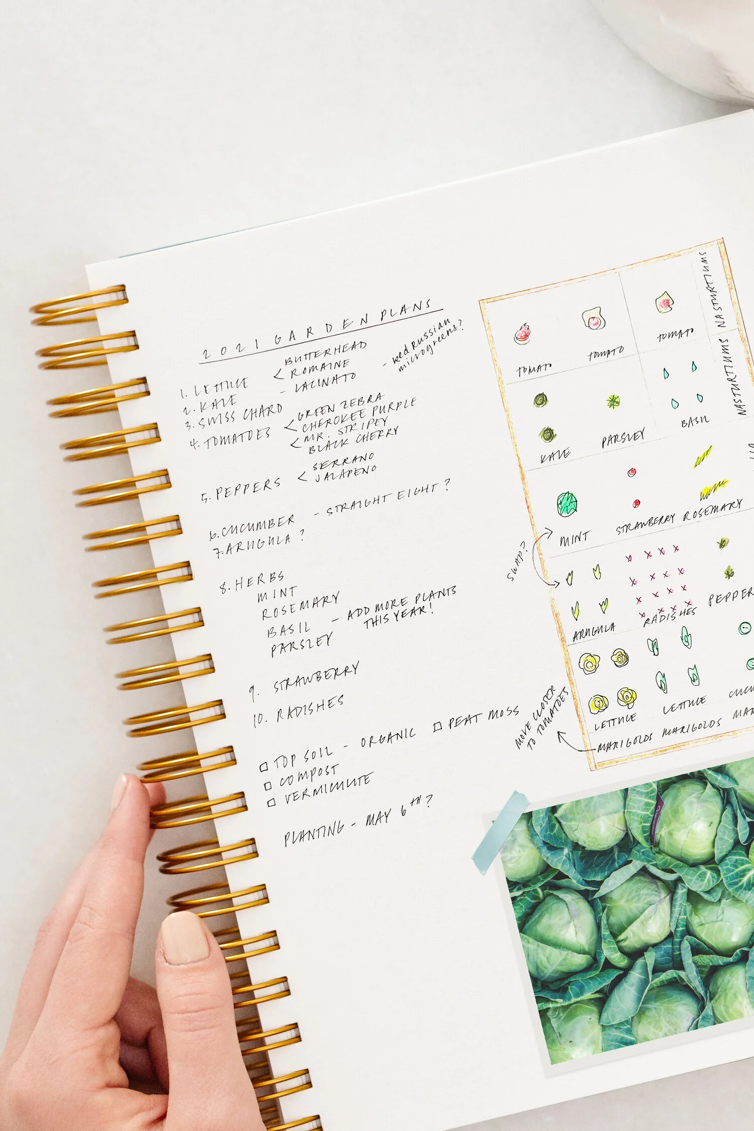 Planning for a Stress-Free Garden 