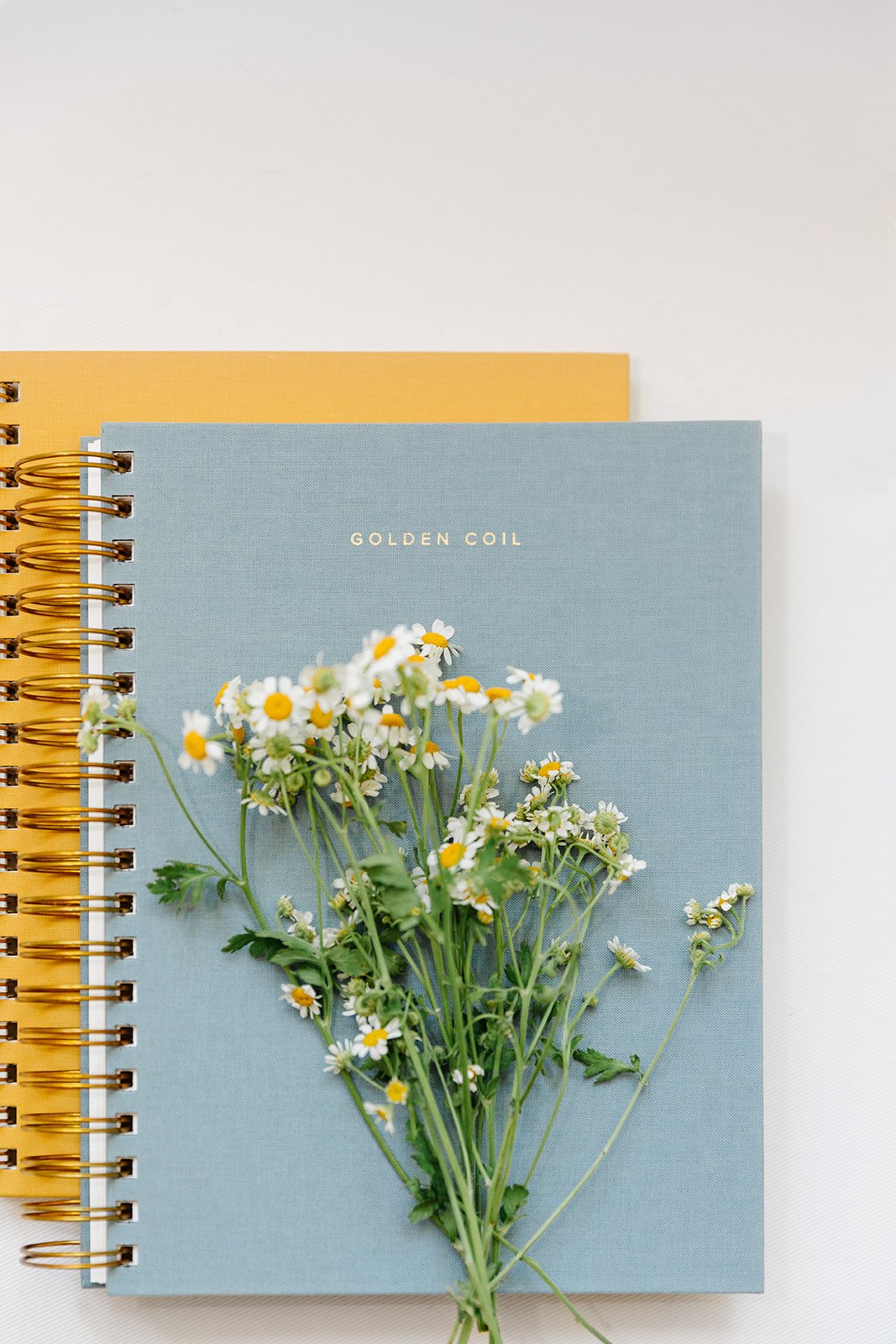 Preparing Your Mind for Summer