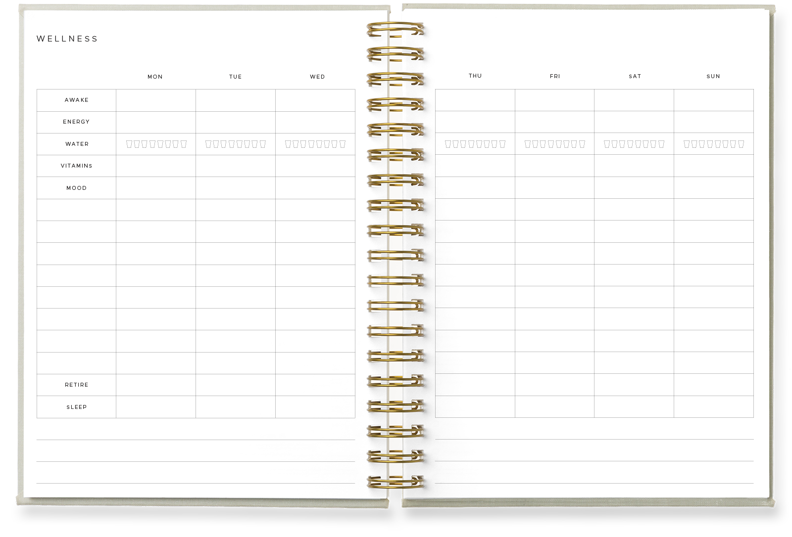 Creating a Fitness Notebook — Golden Coil