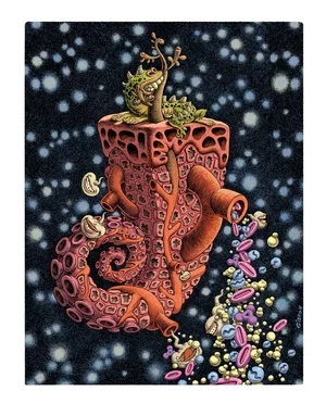 Follicle 8.5" x11" print