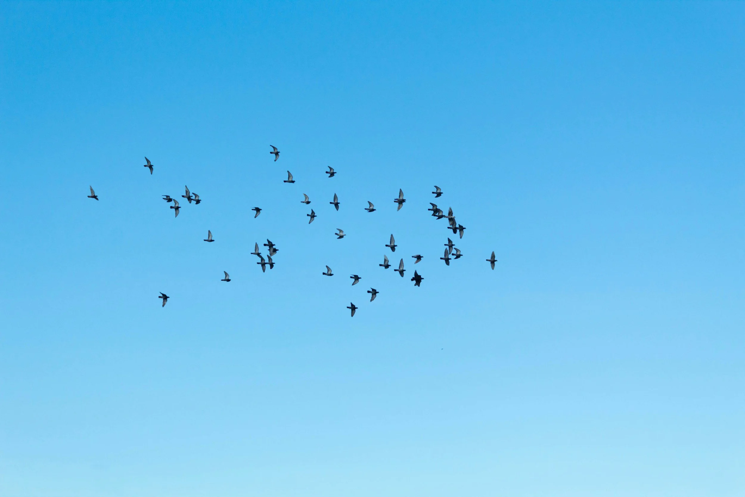 Perfectly Imperfect: Embracing Perfectionism