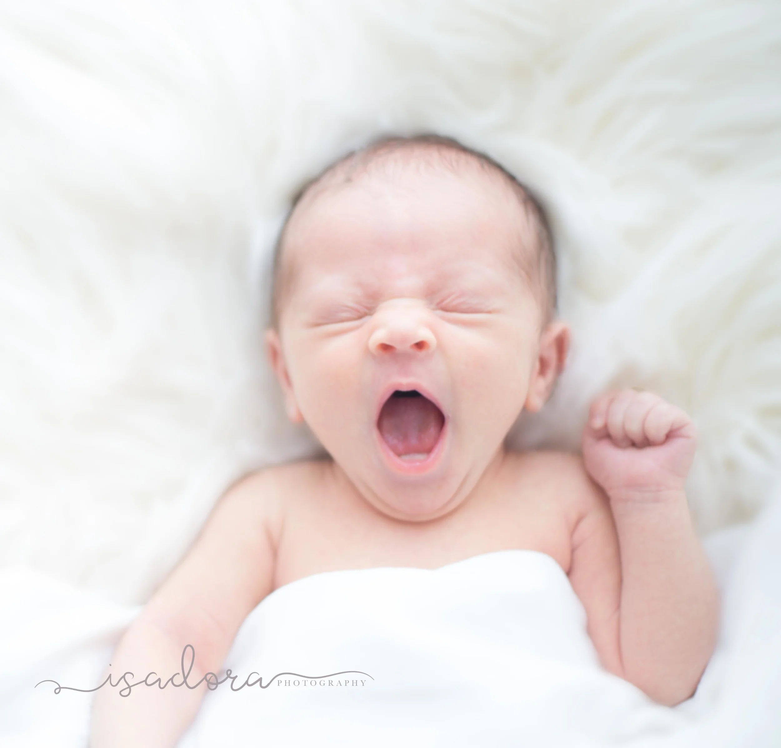 spring-newborn-photographer-08