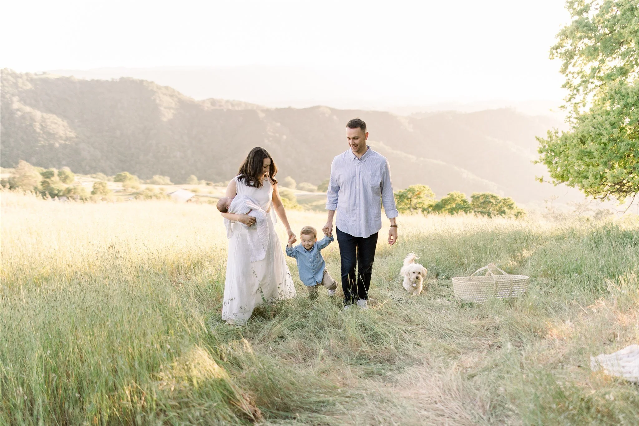 Family walks on Mt.Diablo with two young sons and dog
