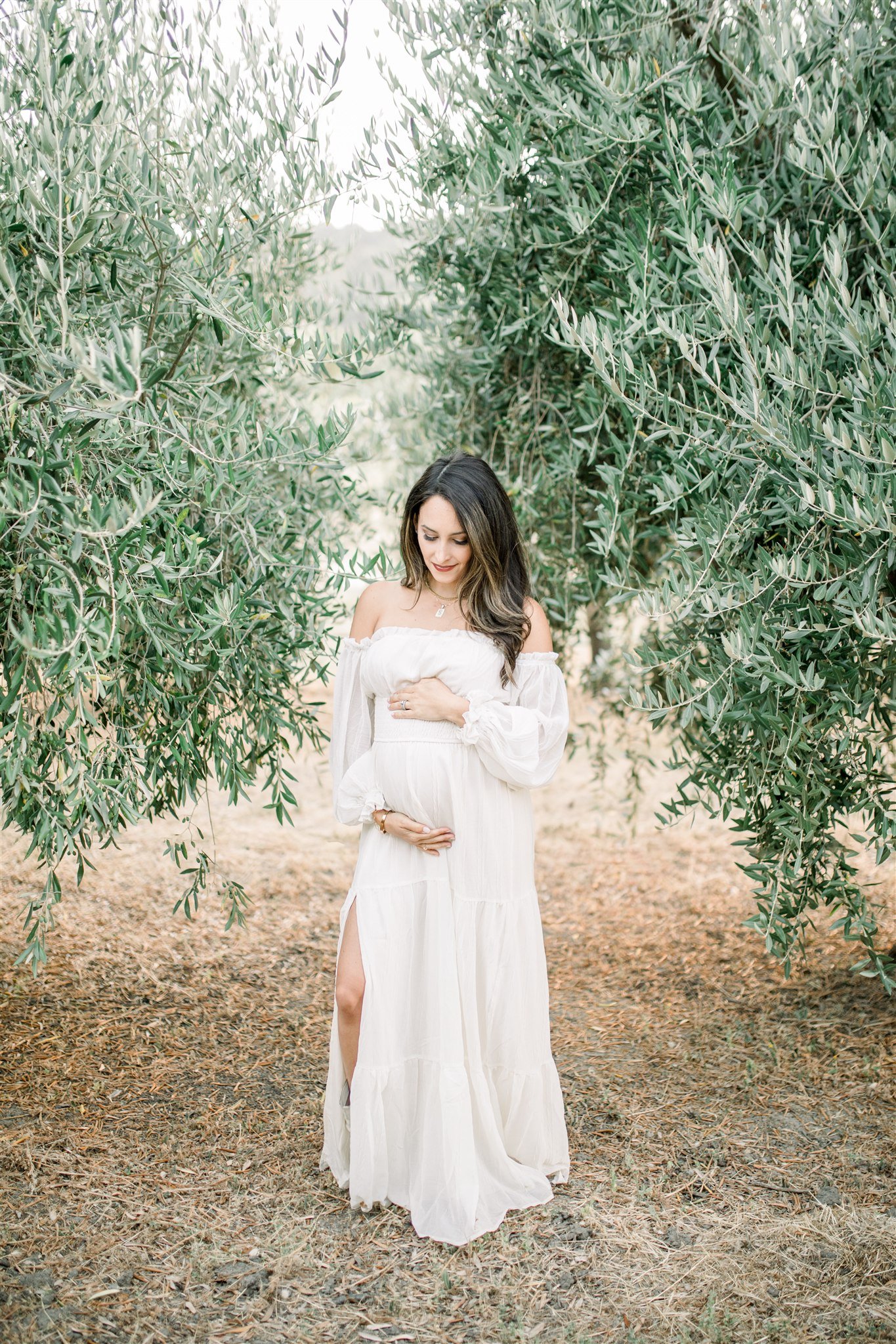 Brunette pregnant girl stands in olive grove in Briones, CA
