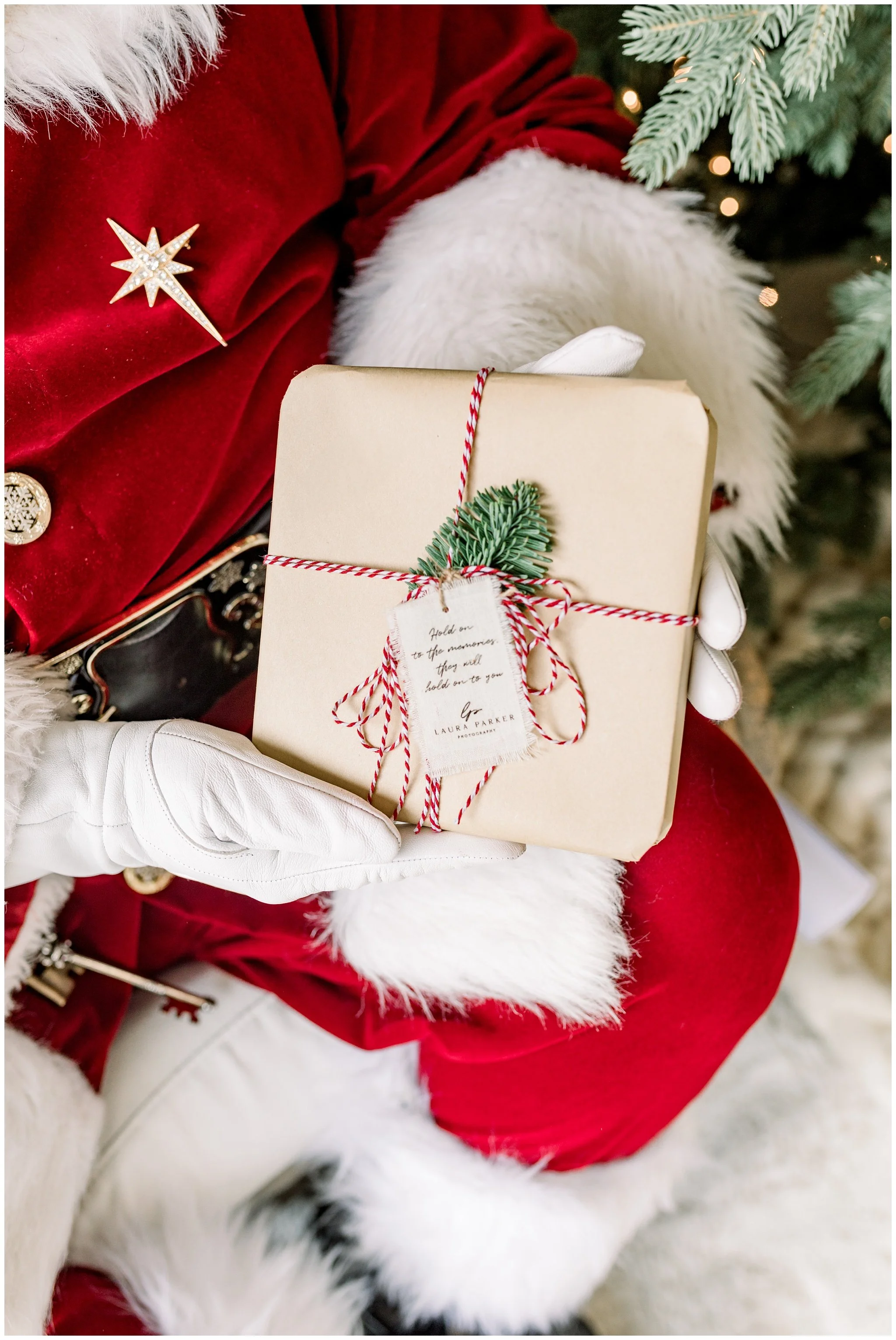 Santa Claus Photos in Walnut Creek_Laura Parker Photography_1500.jpg