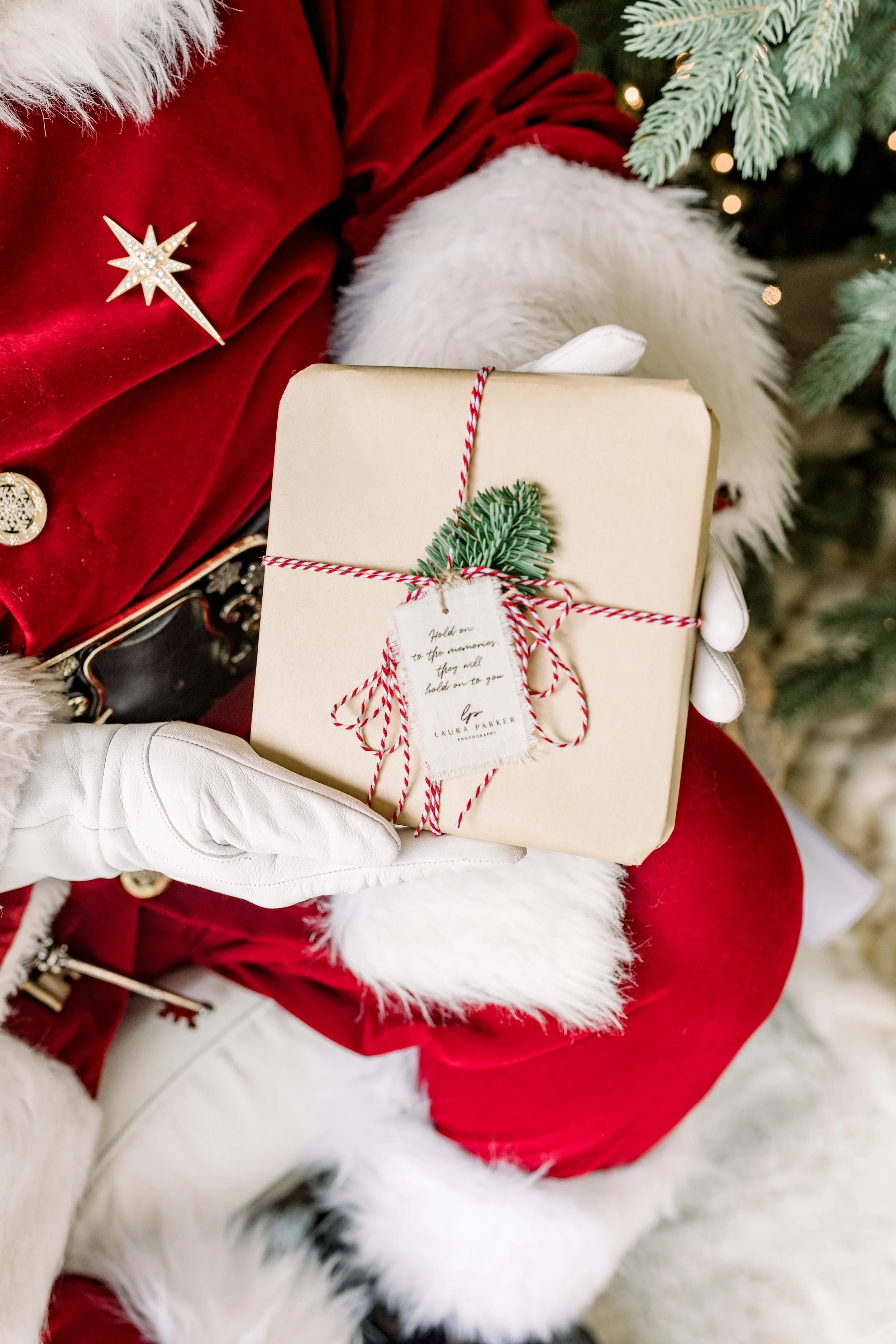 The Santa Experience 2025