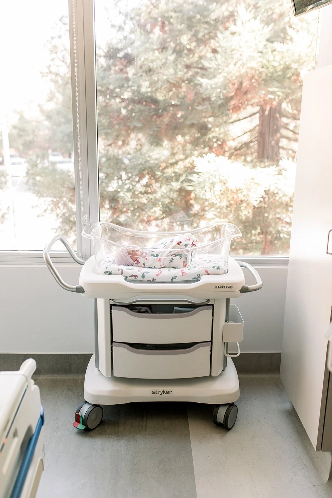 Baby in hospital bassinet