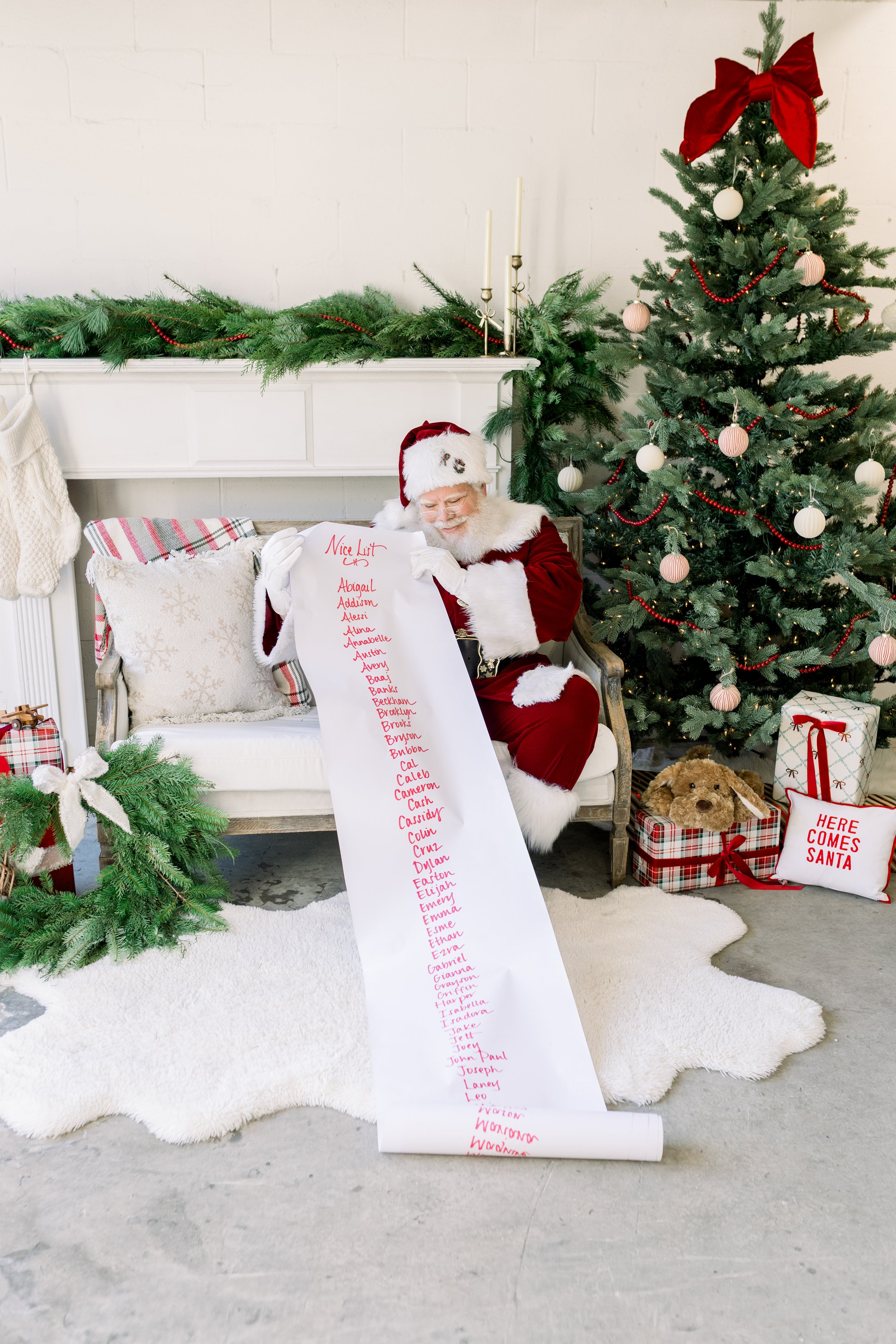 The Santa Experience