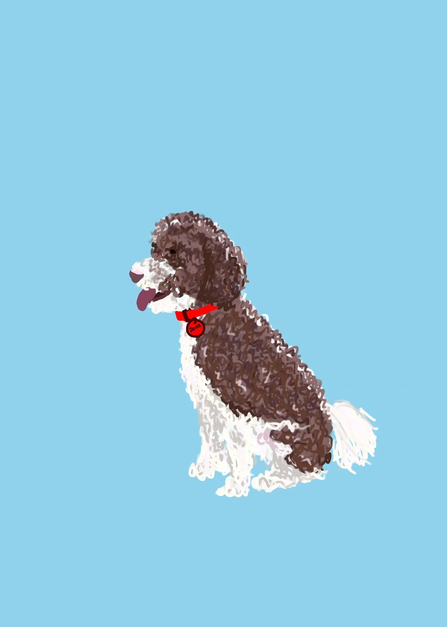 Zeva