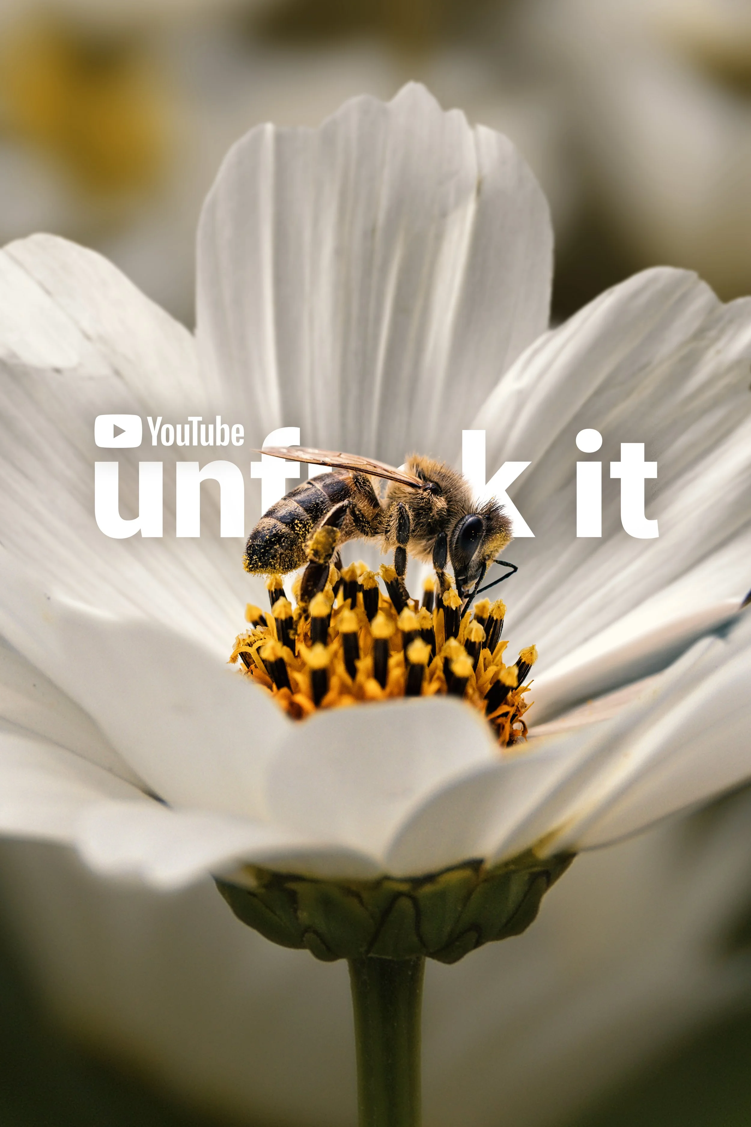 YTO_Unfuck_24x36_Honeybee_01 copy.jpg