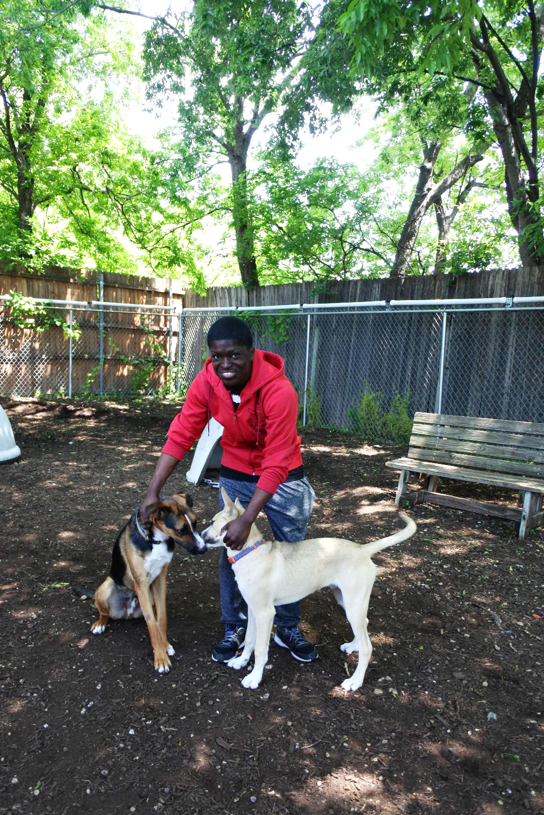 02 SPCA4.jpg