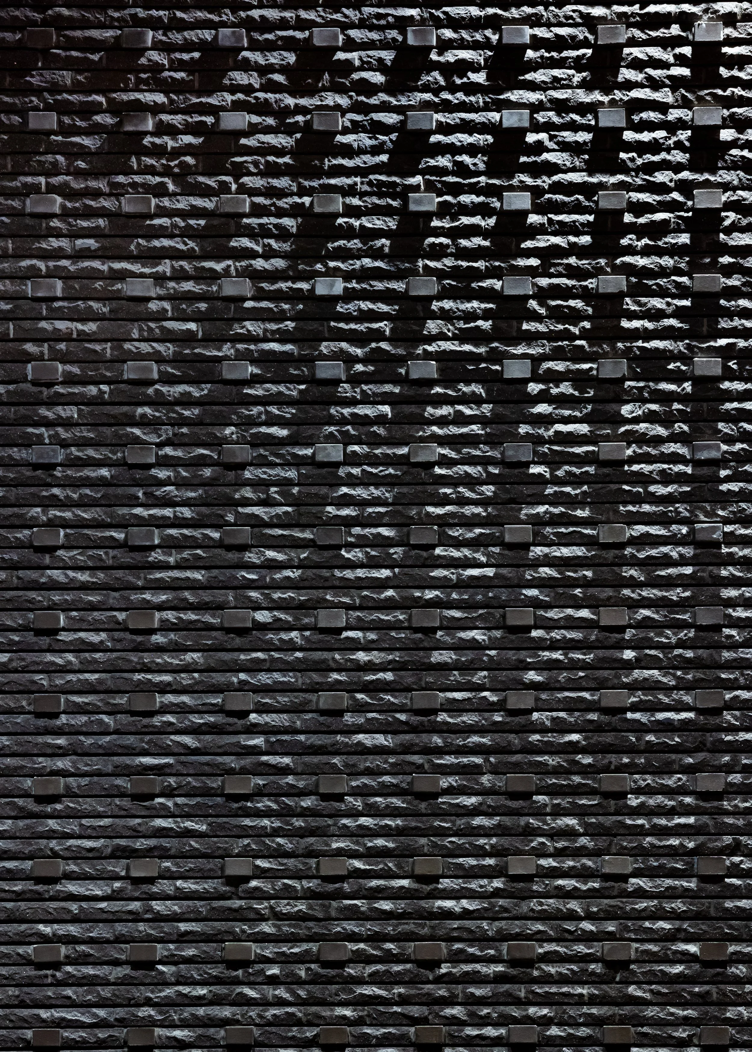 17008_0000_N17.jpg