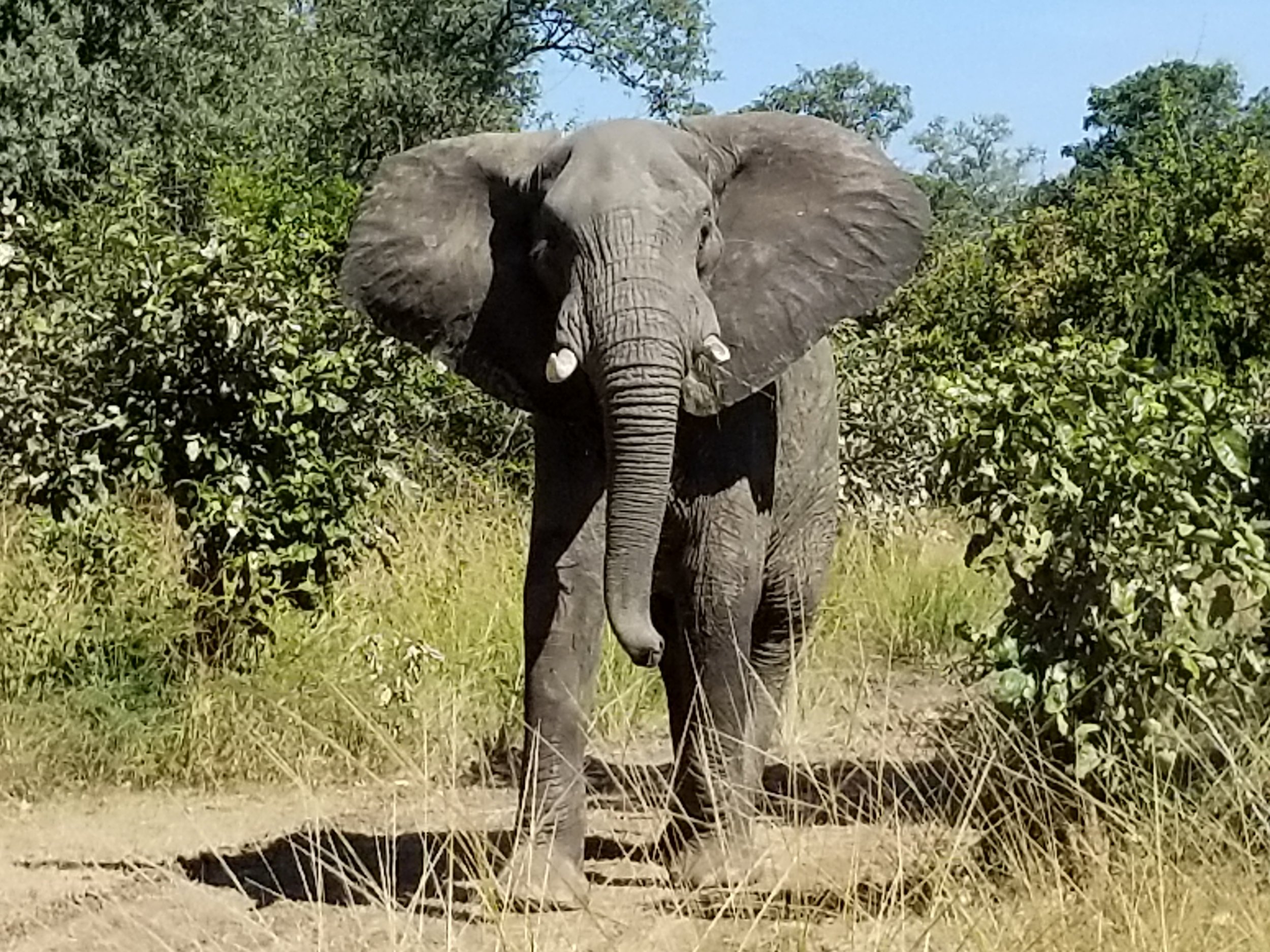 20180515_100434.jpg