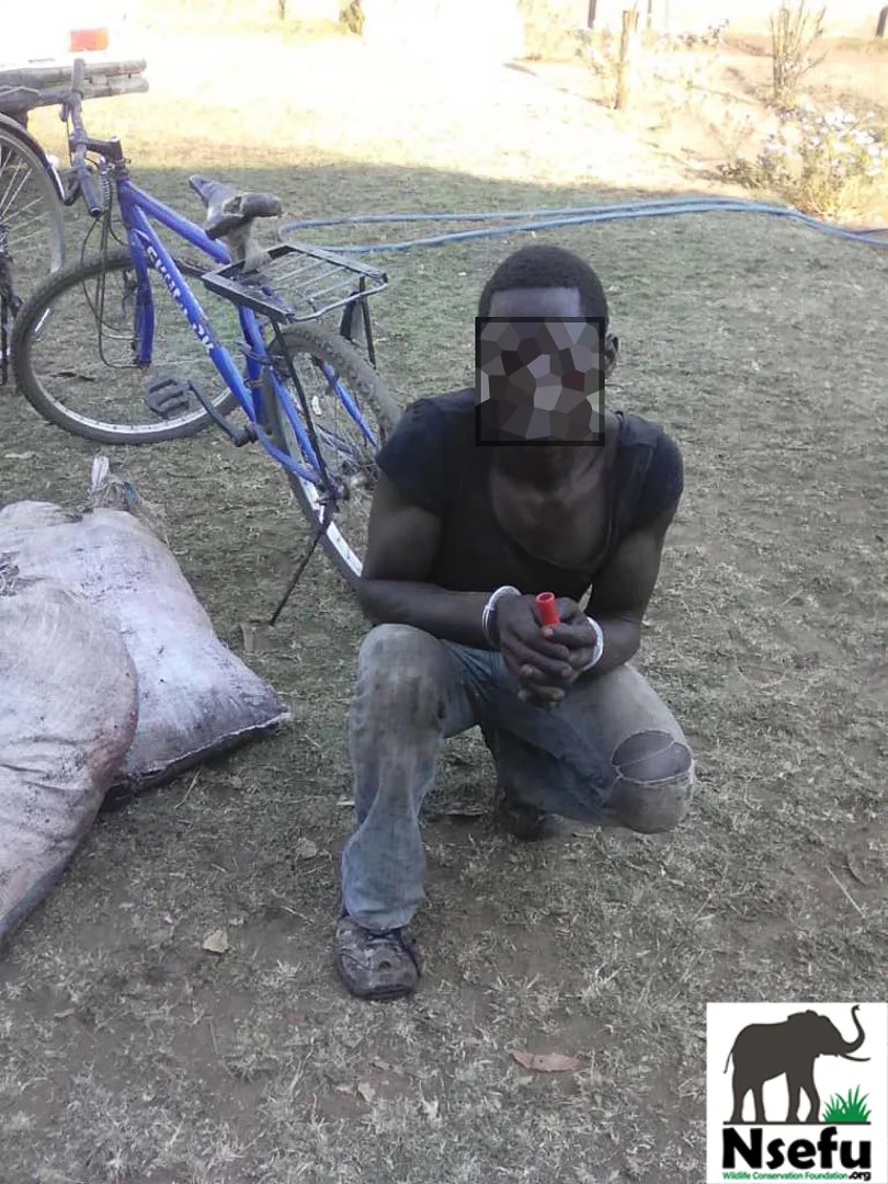Poachers Arrested