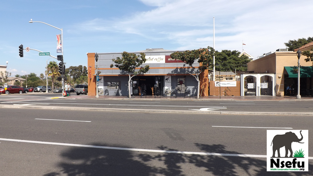 DSCF6878.jpg