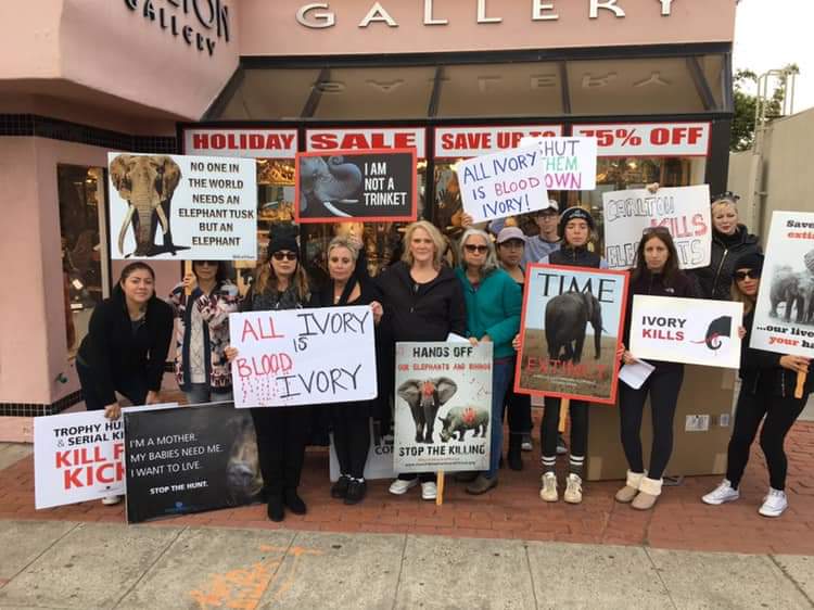 Protest at the La Jolla Gallery!