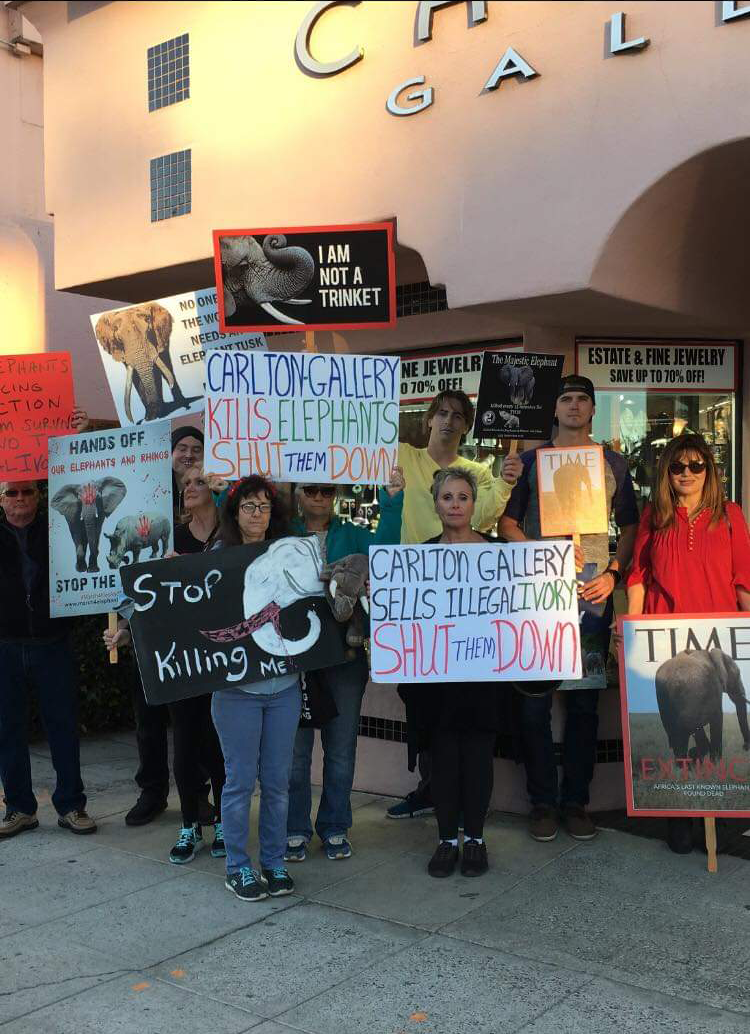 Protest at the La Jolla Gallery!