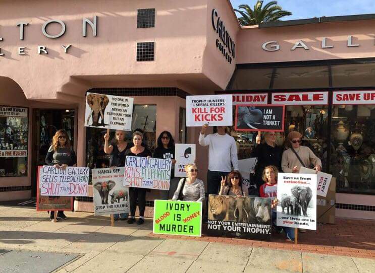 Protest at the La Jolla Gallery!