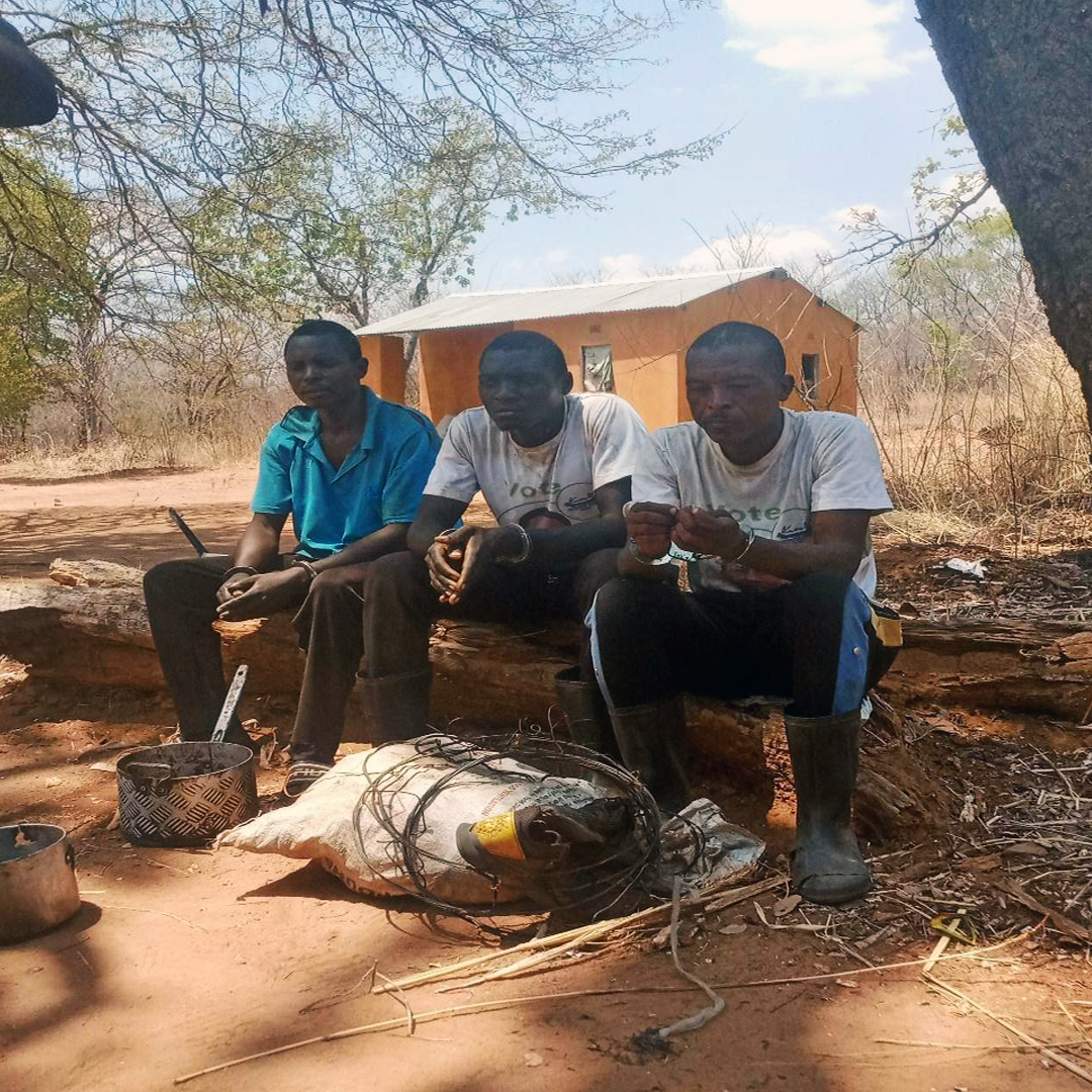 Anti-Poaching Success in 2025