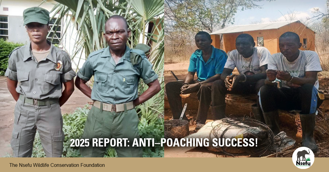 Anti–Poaching Success 2025