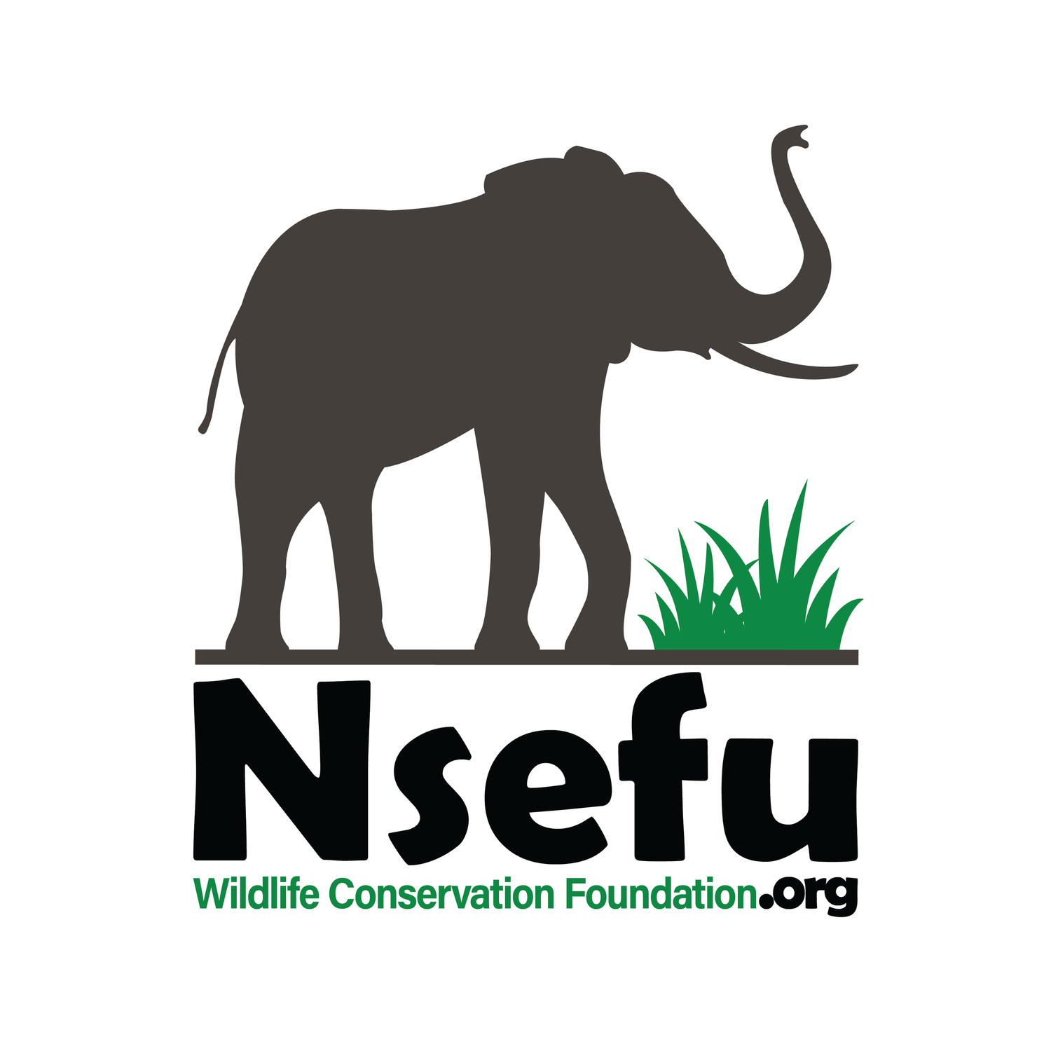 Nsefu Wildlife Conservation Foundation
