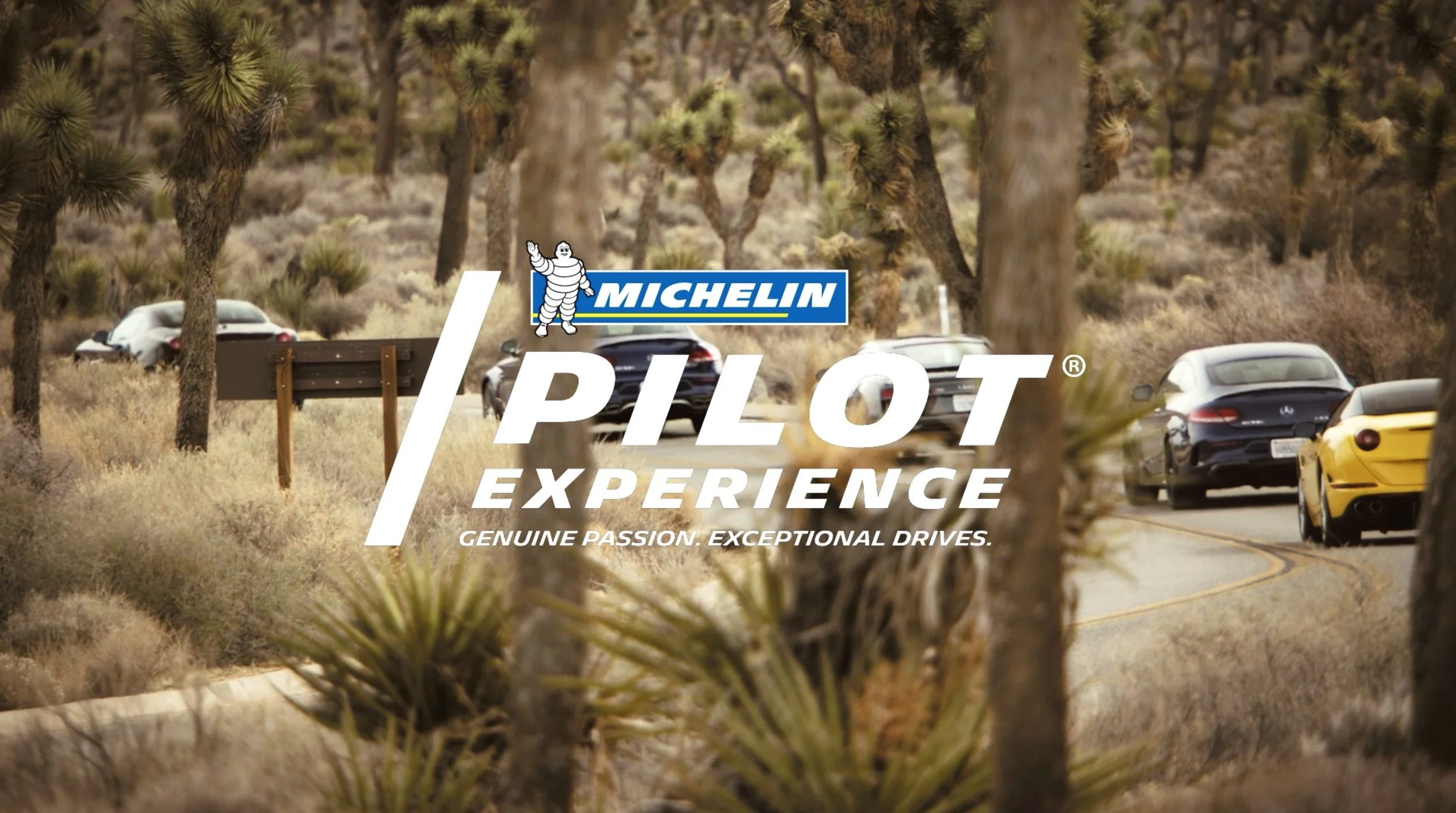 Michelin3.jpg