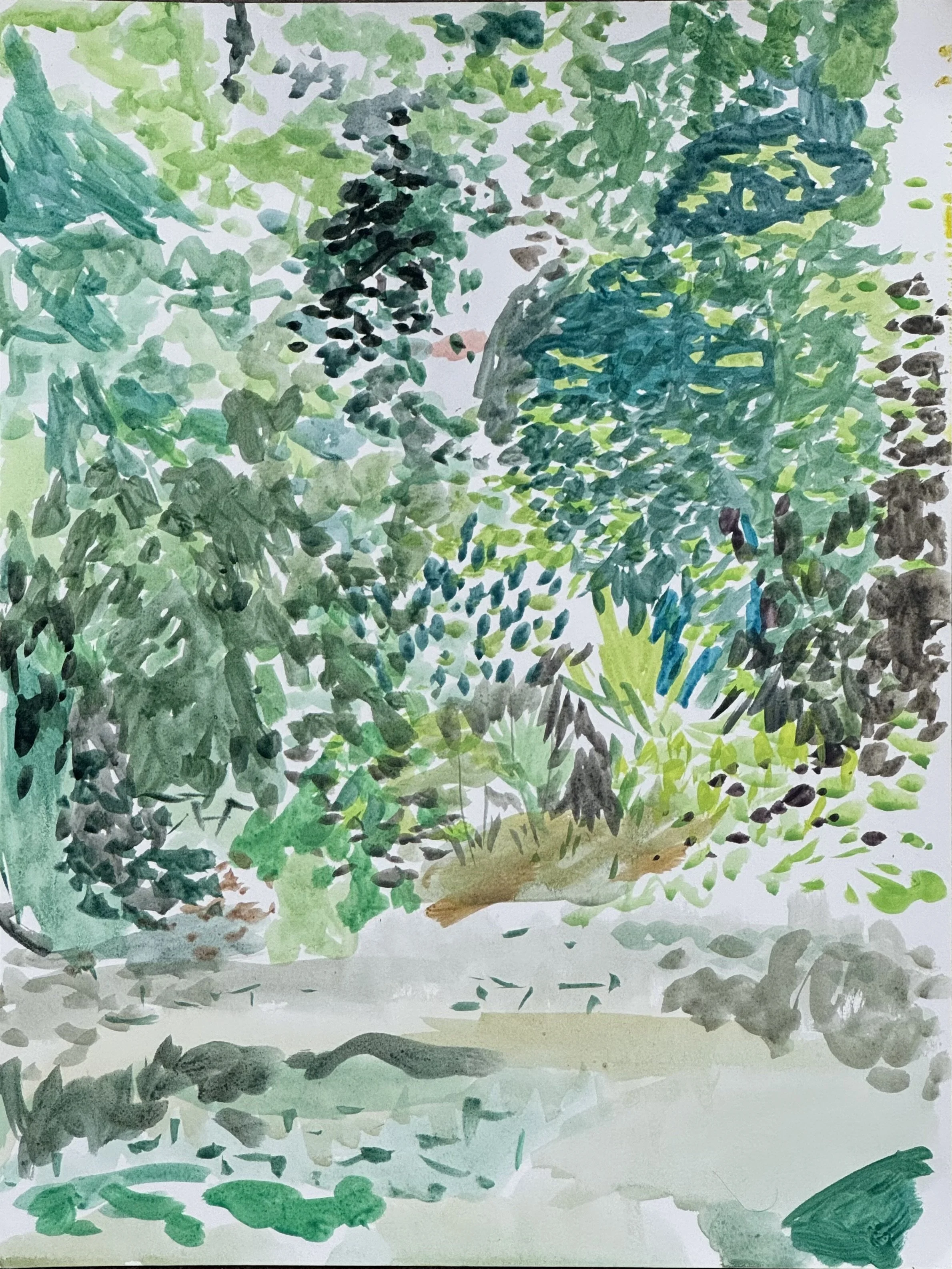 plein air - fern dell April 2.jpeg