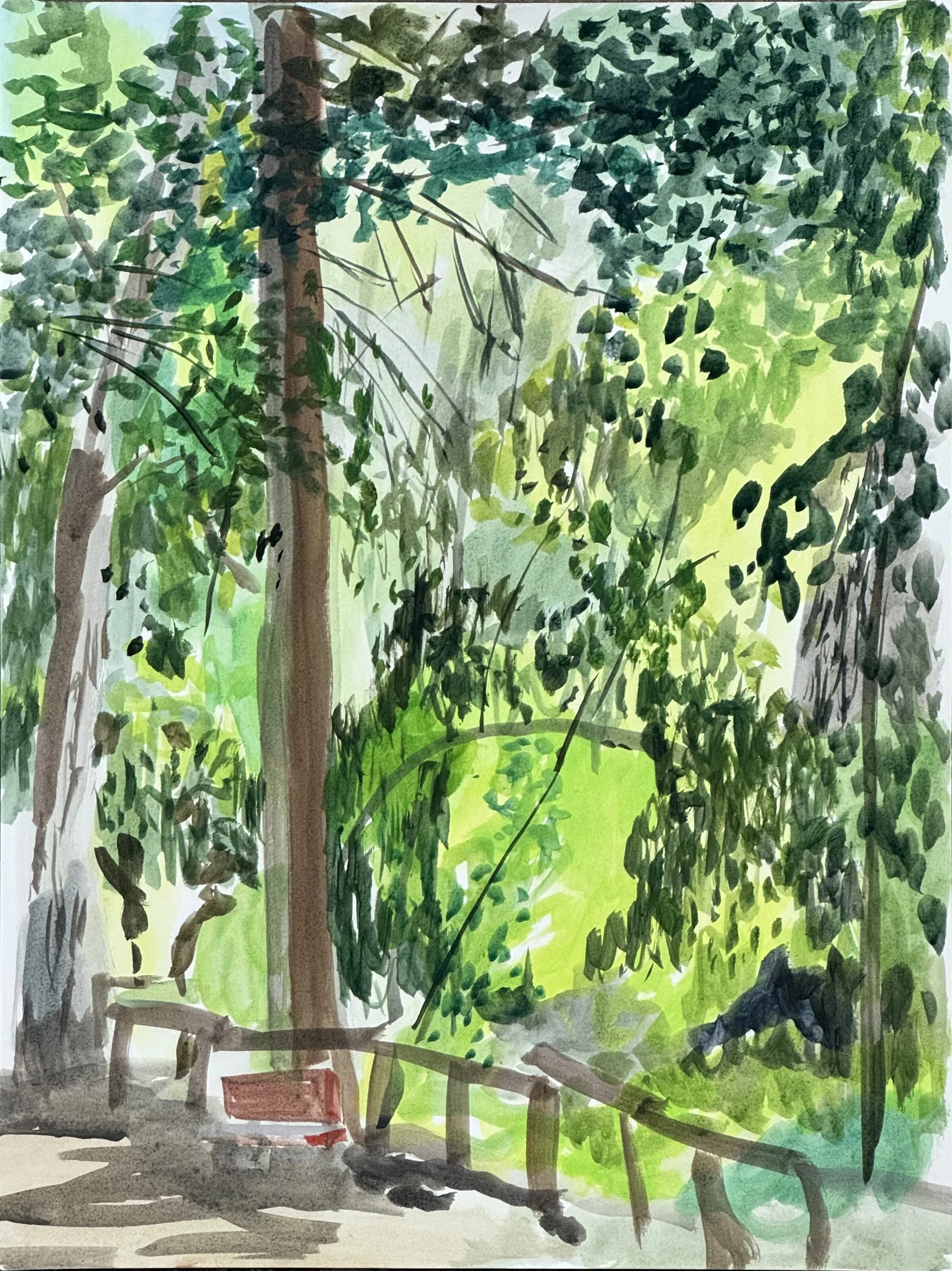 plein air - fern dell April 3.jpeg