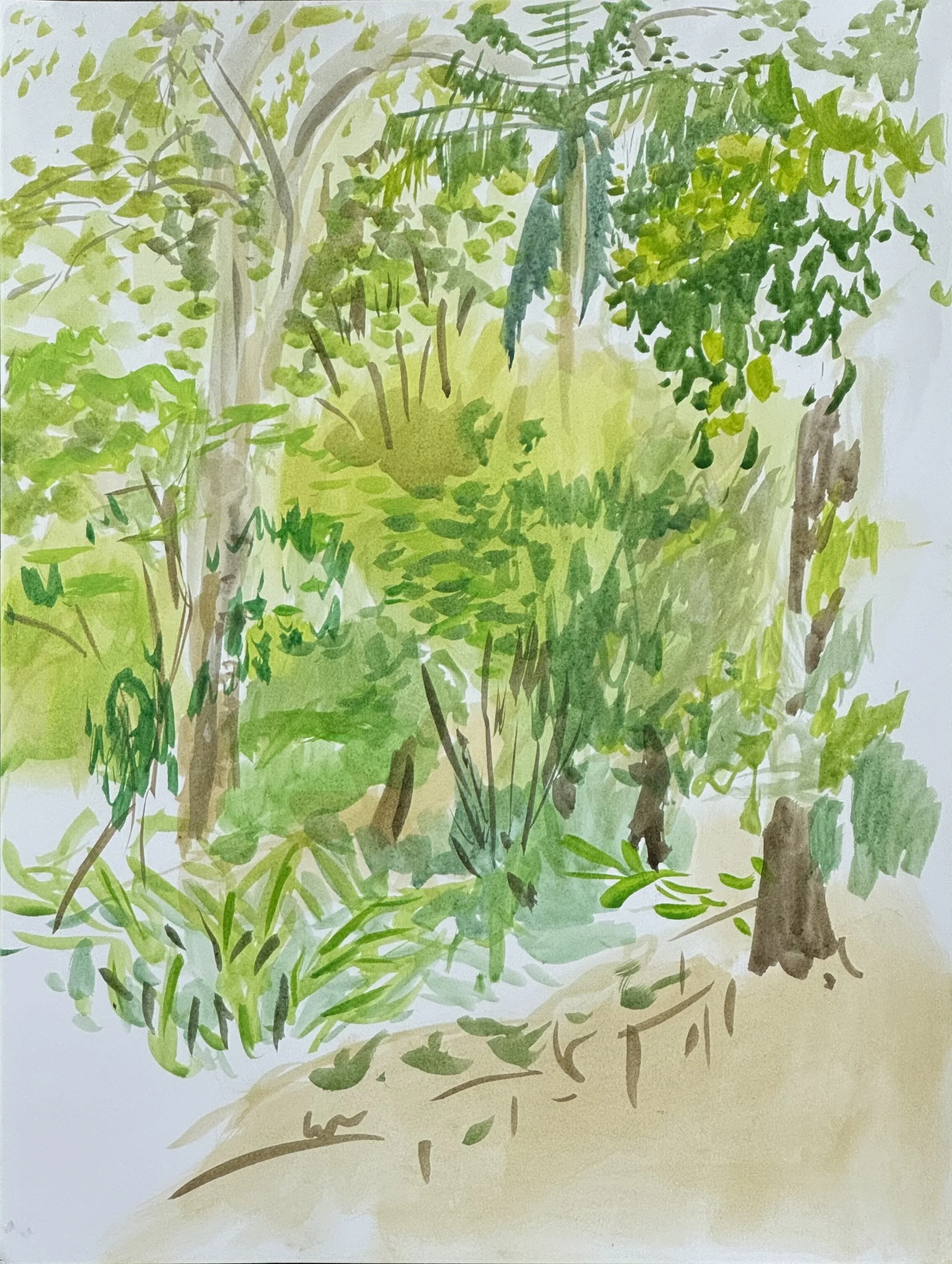 plein air - fern dell April.jpeg