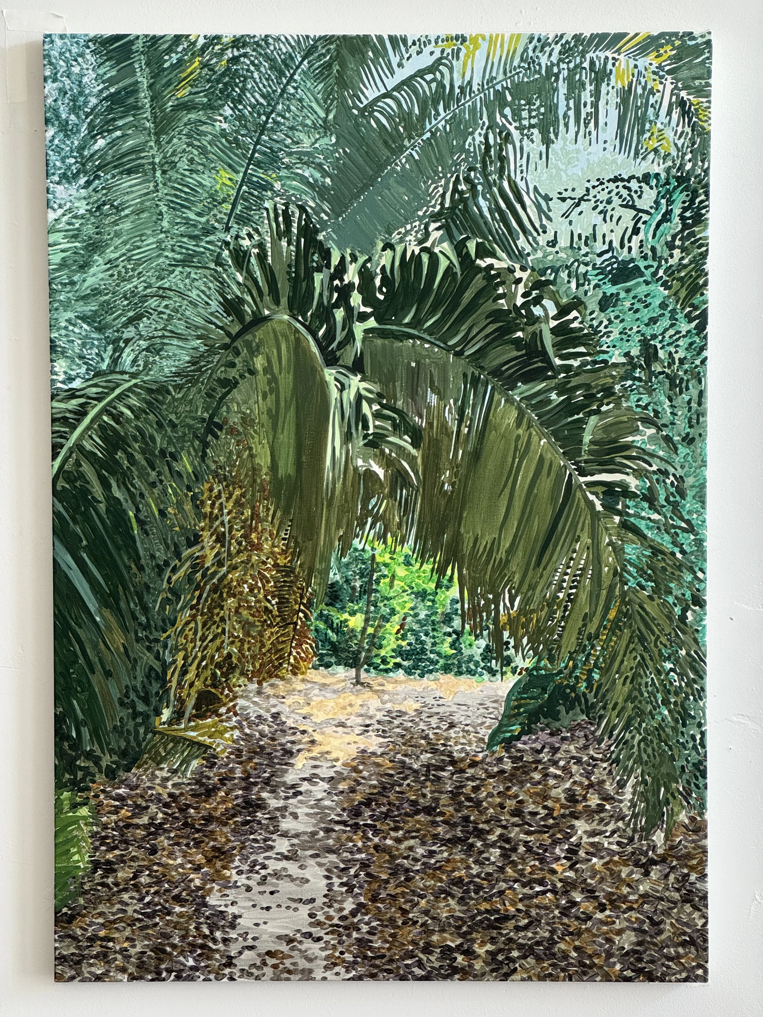 Jungle Path to Malpaso.jpeg