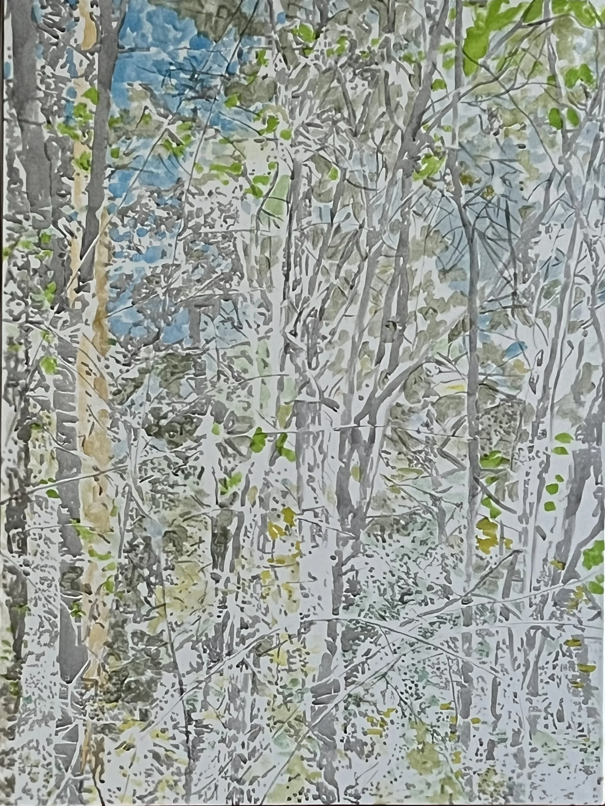 SILVER TREES.jpeg