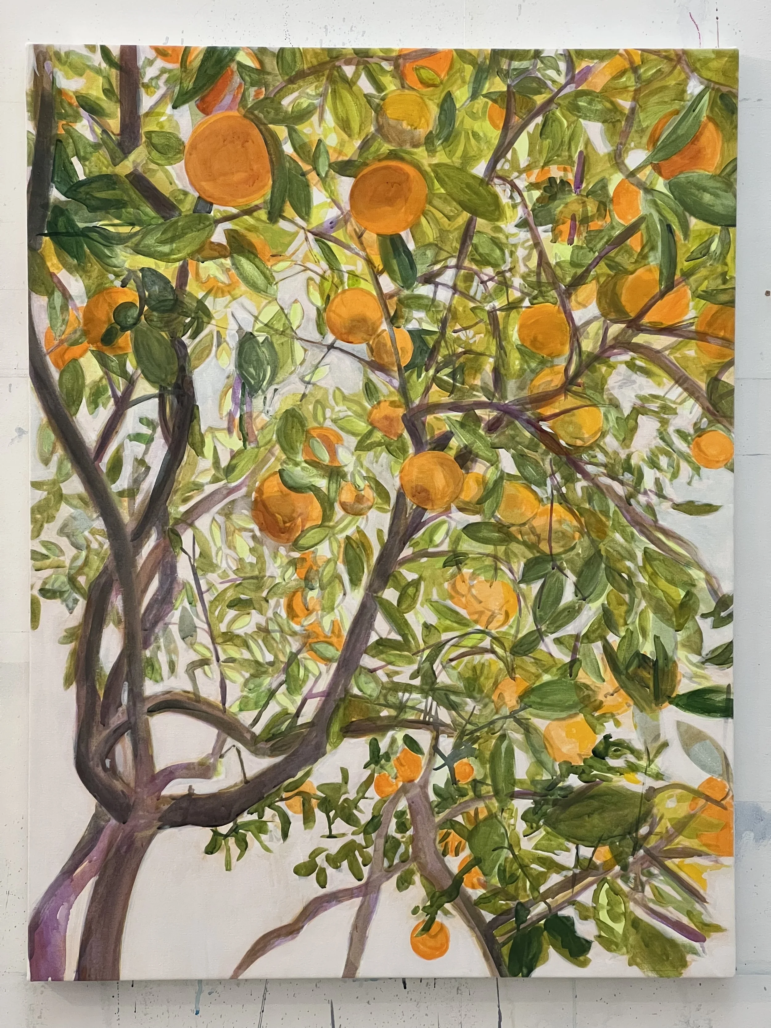 Orange Tree.jpeg
