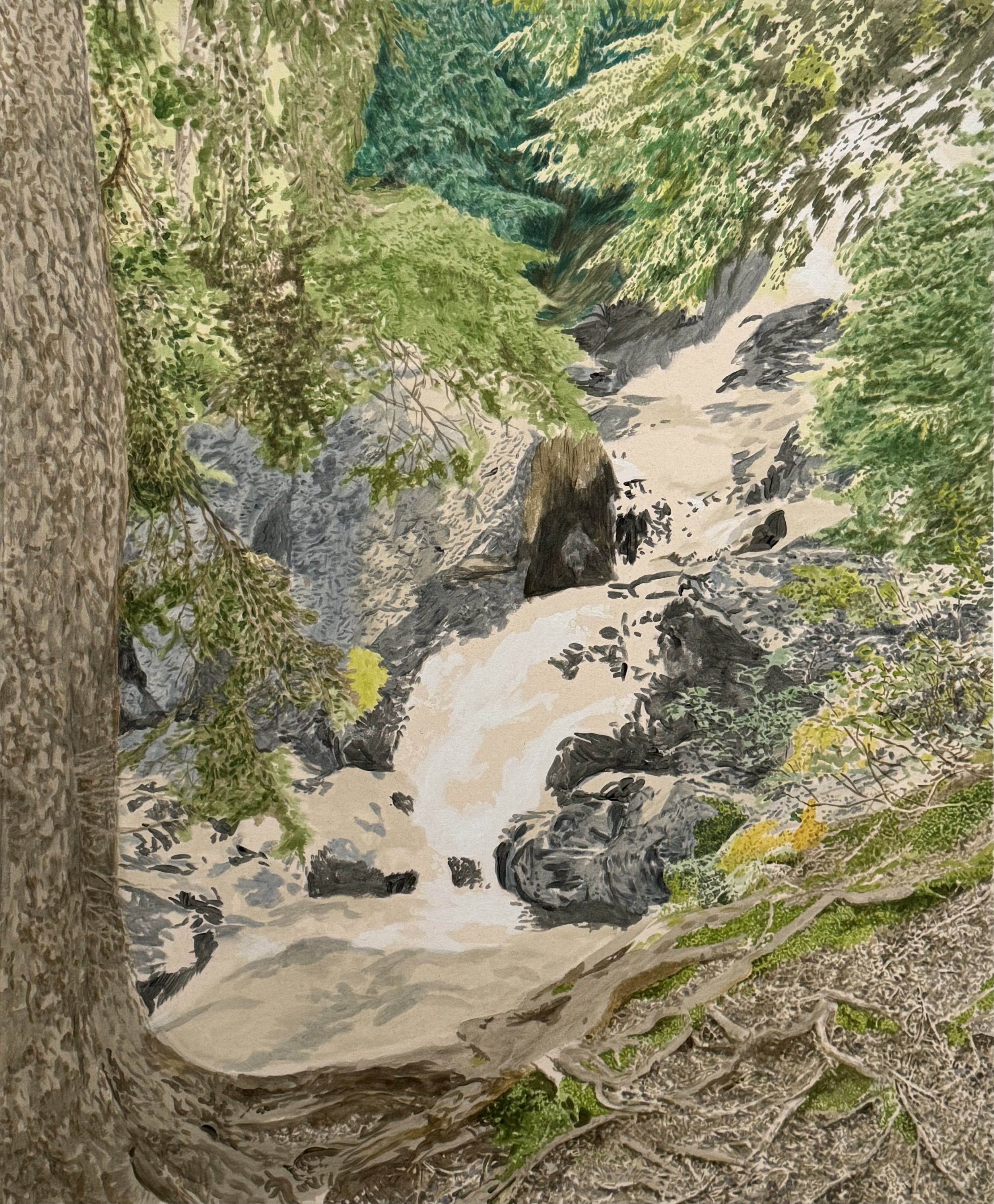 Cascadia (Rachel Lake Trail) 2