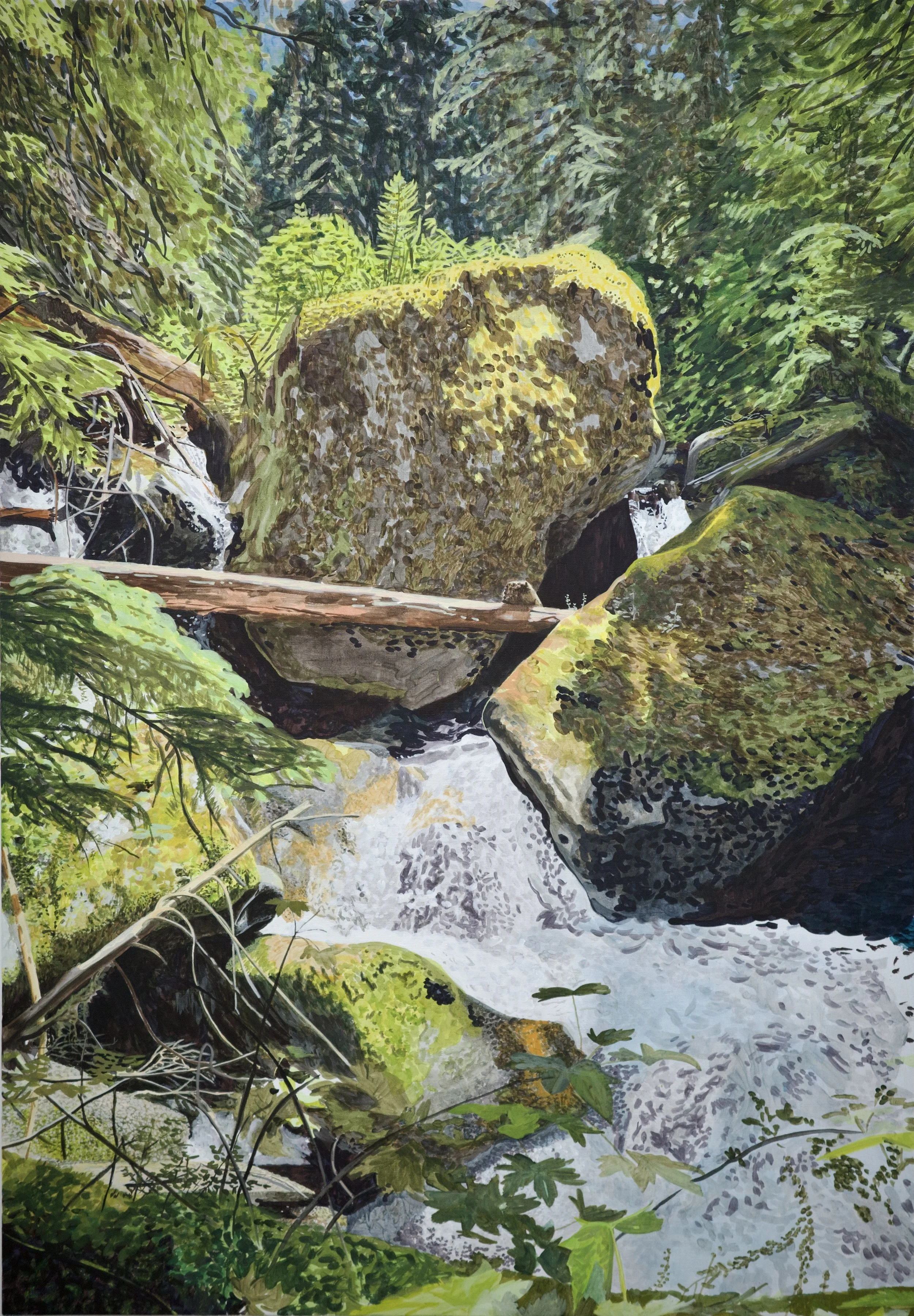 Cascadia (Surprise Creek Trail)