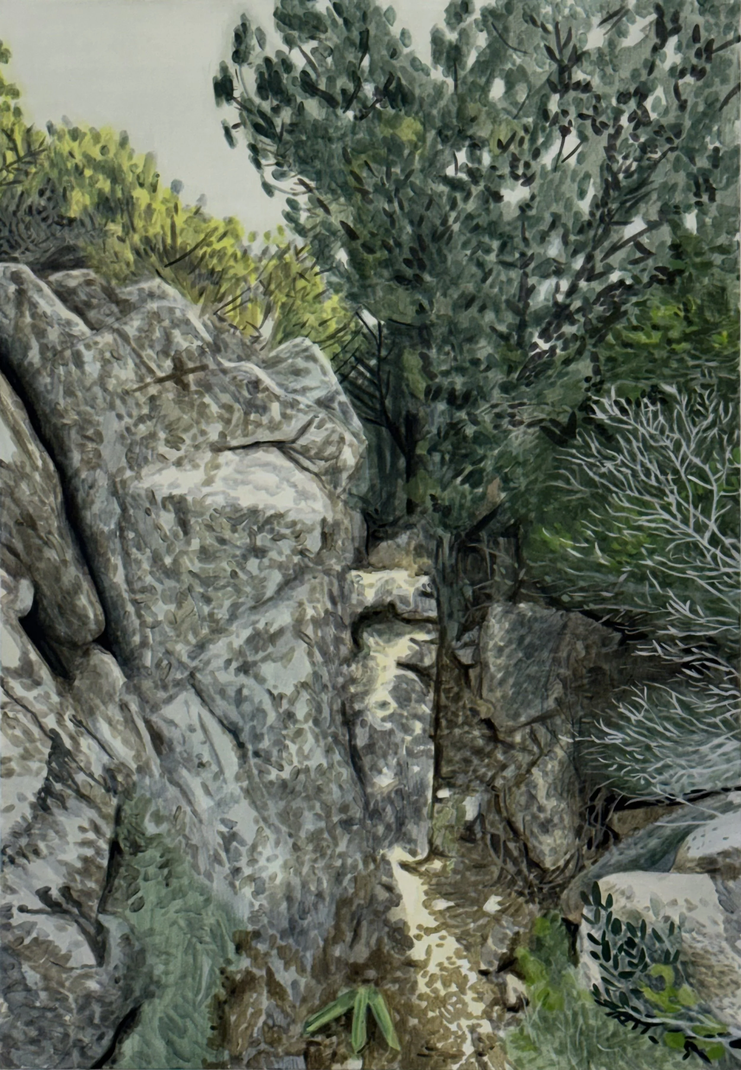 Sardinia (Lost Trail)