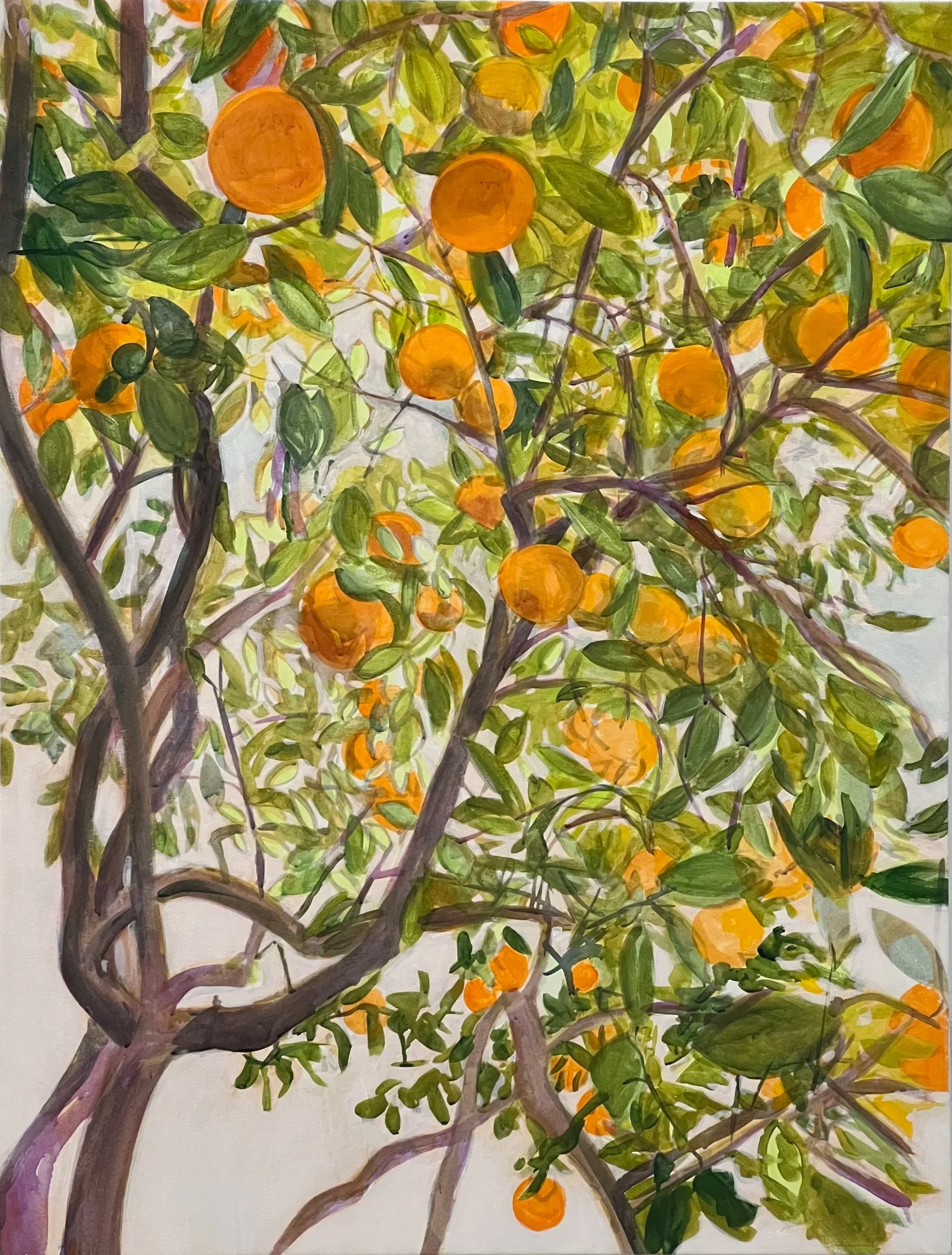 Orange+Tree.jpg