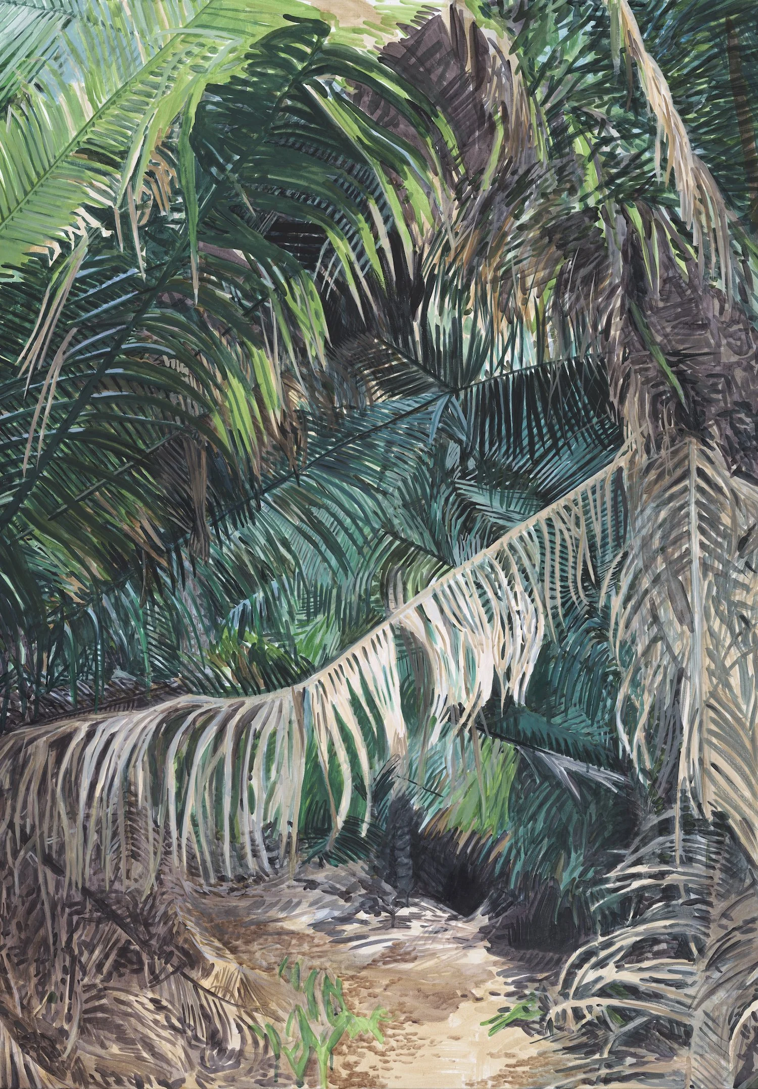 Anthony Prudhomme_Jungle Path to Malpaso 2026 copy.jpg
