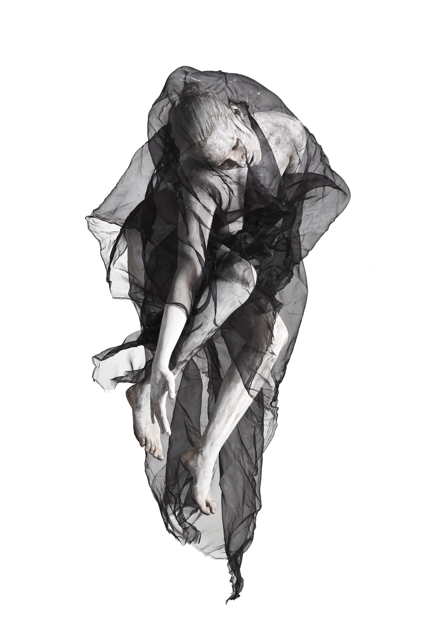 05-Vestige4.jpg