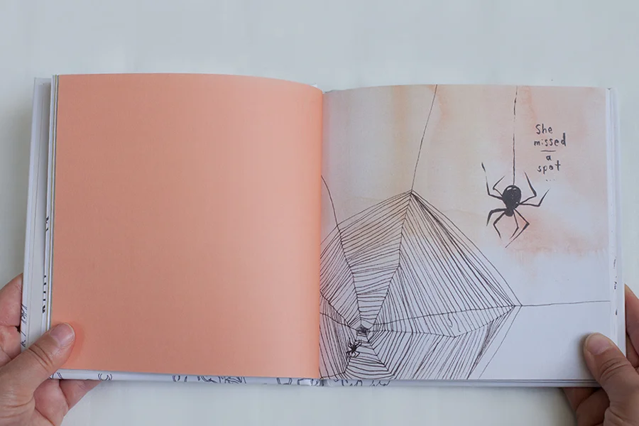 animals_spider.jpg
