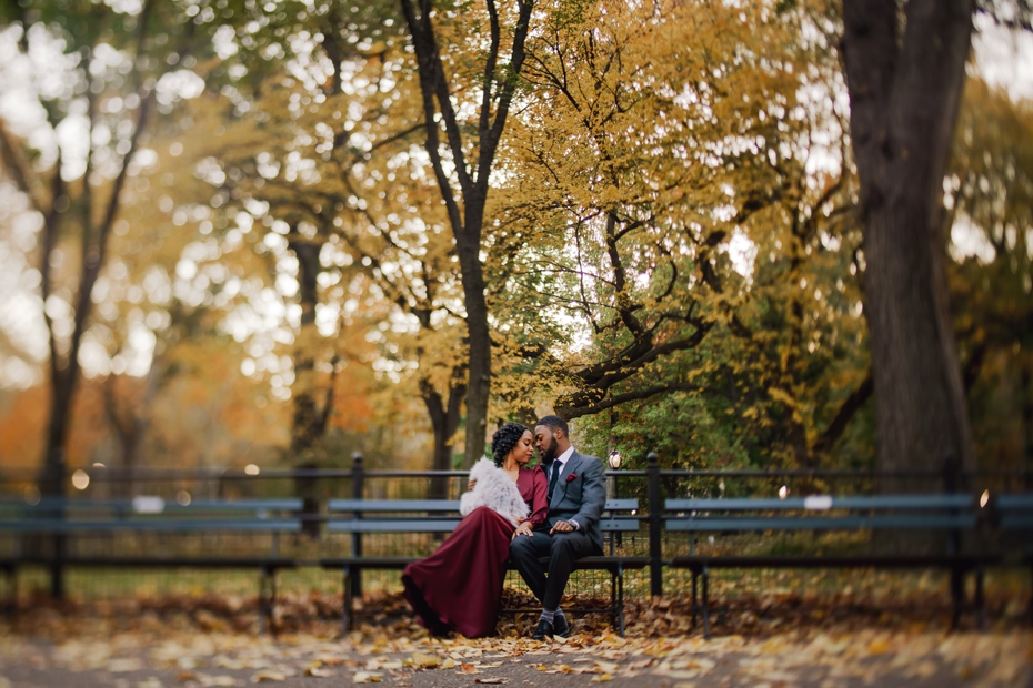 central_park_engagement_4.jpg