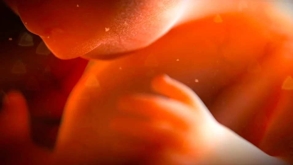 Screenshot 2017-01-31 15.12.55.jpg