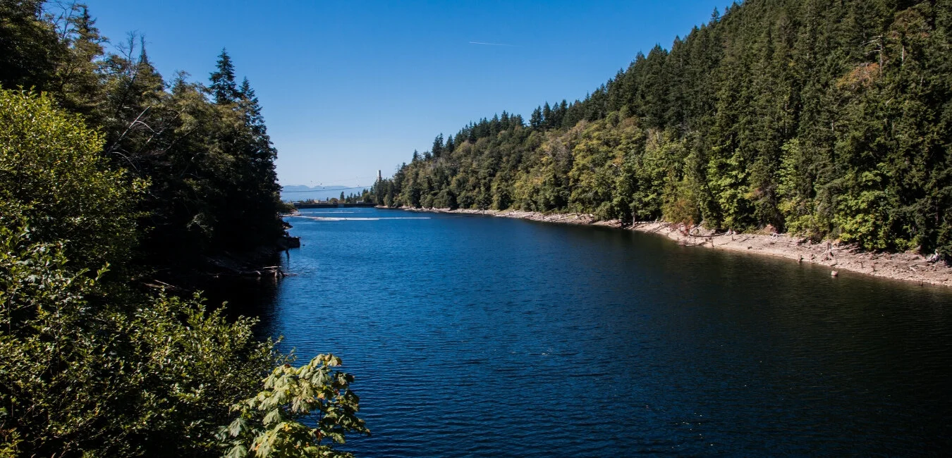 Chris Carlos Website Header.jpg