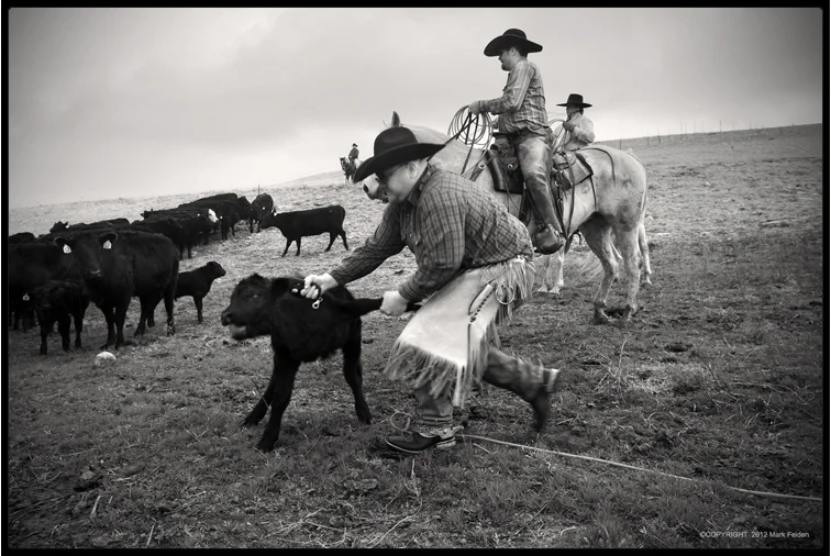 Calf Roper (Josh Hoy), Chase County, Kansas, 2010