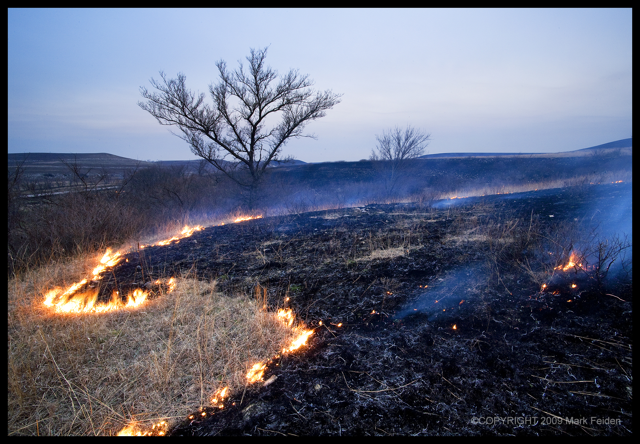 PF-023 Spring Burning