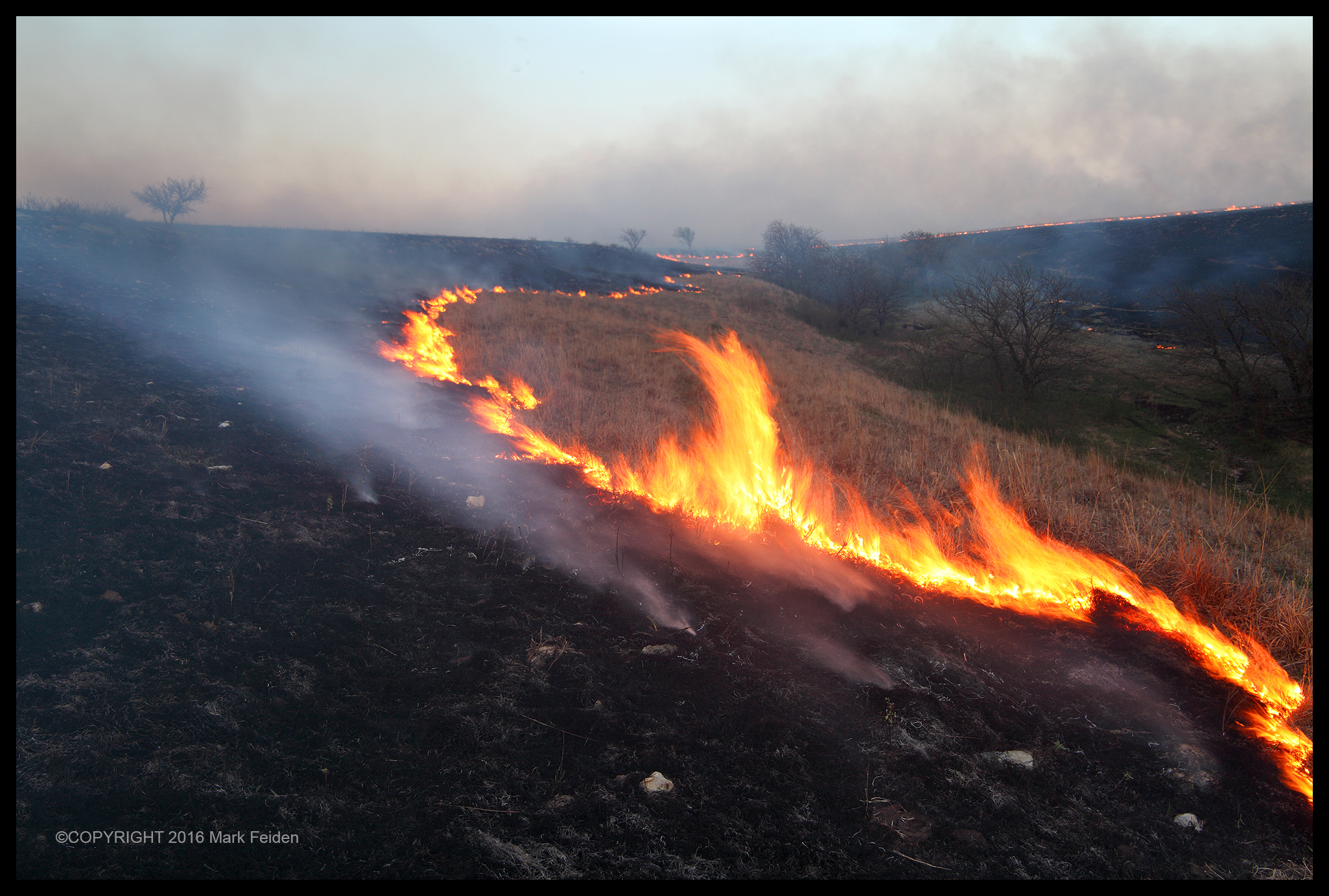 01-260 Fire Line