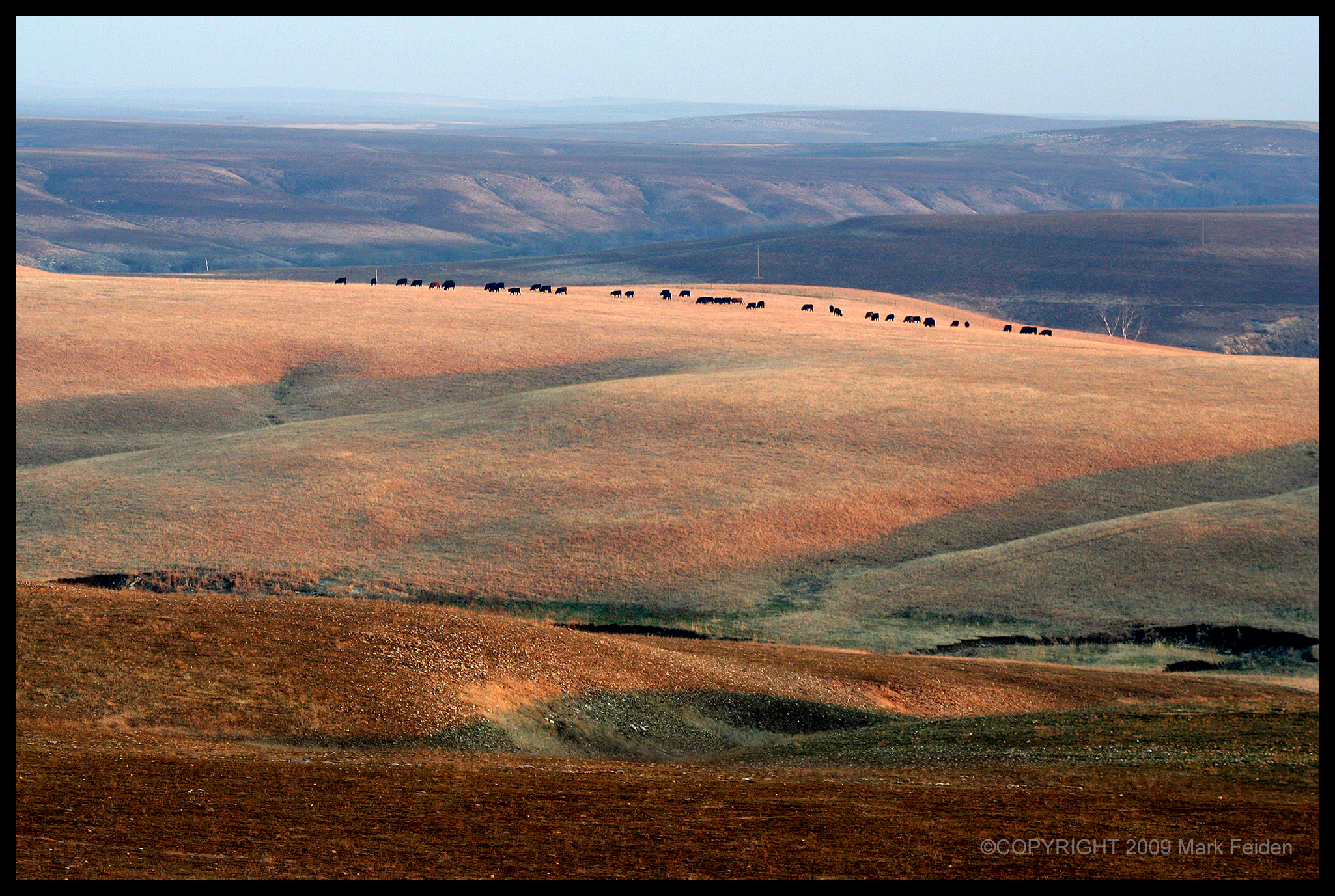 01-039 Early Spring in the Flint Hills