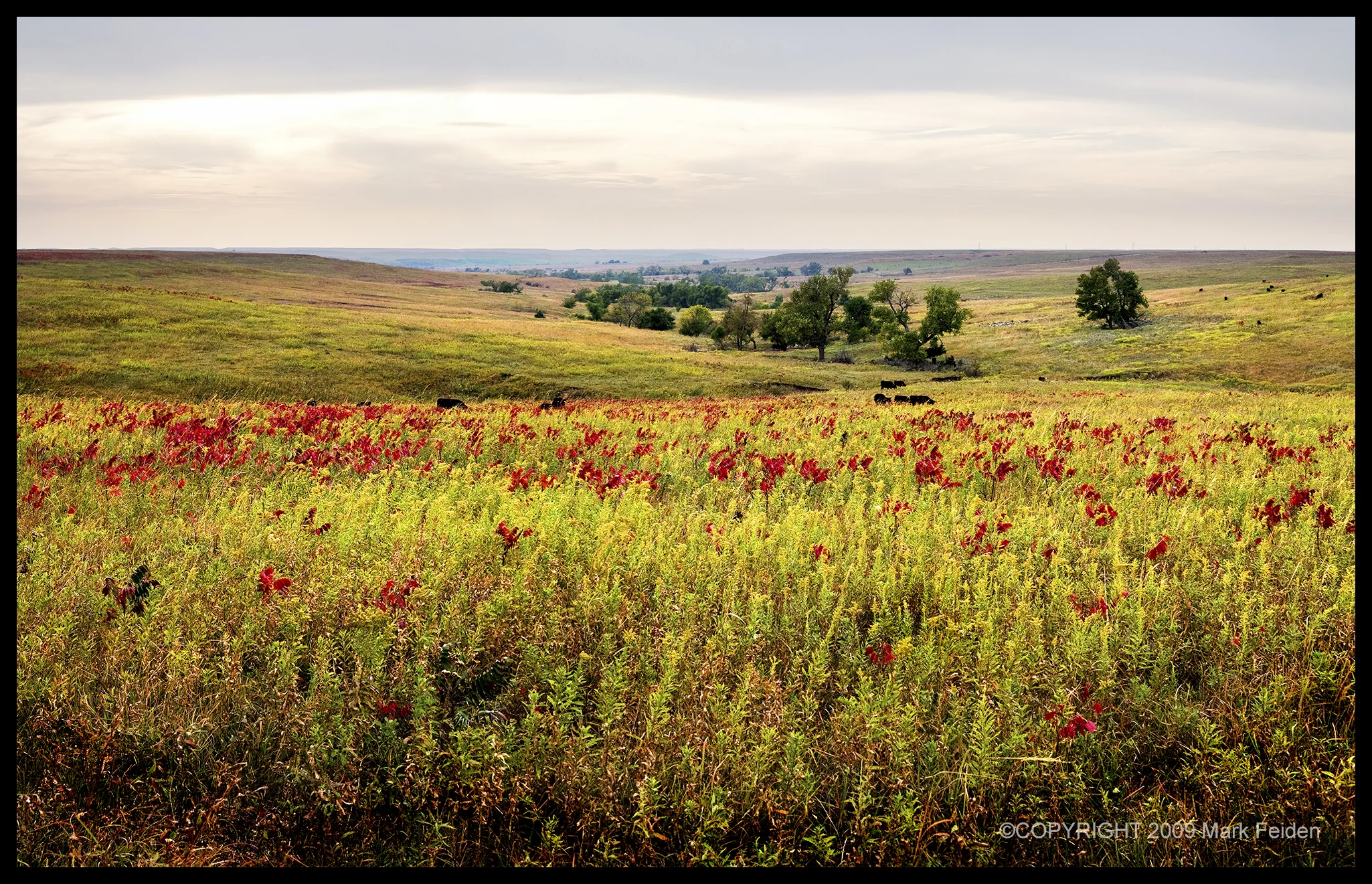 01-142 Early Fall in the Flint Hills
